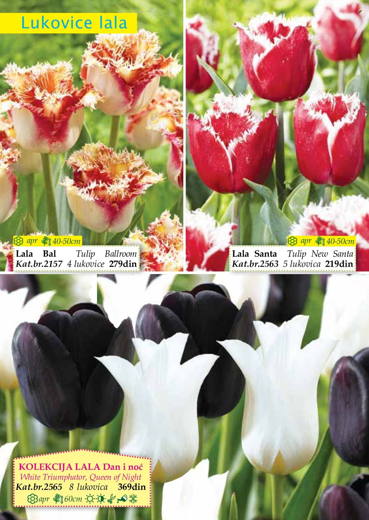 Flora Ekspres katalog. Stranica 18