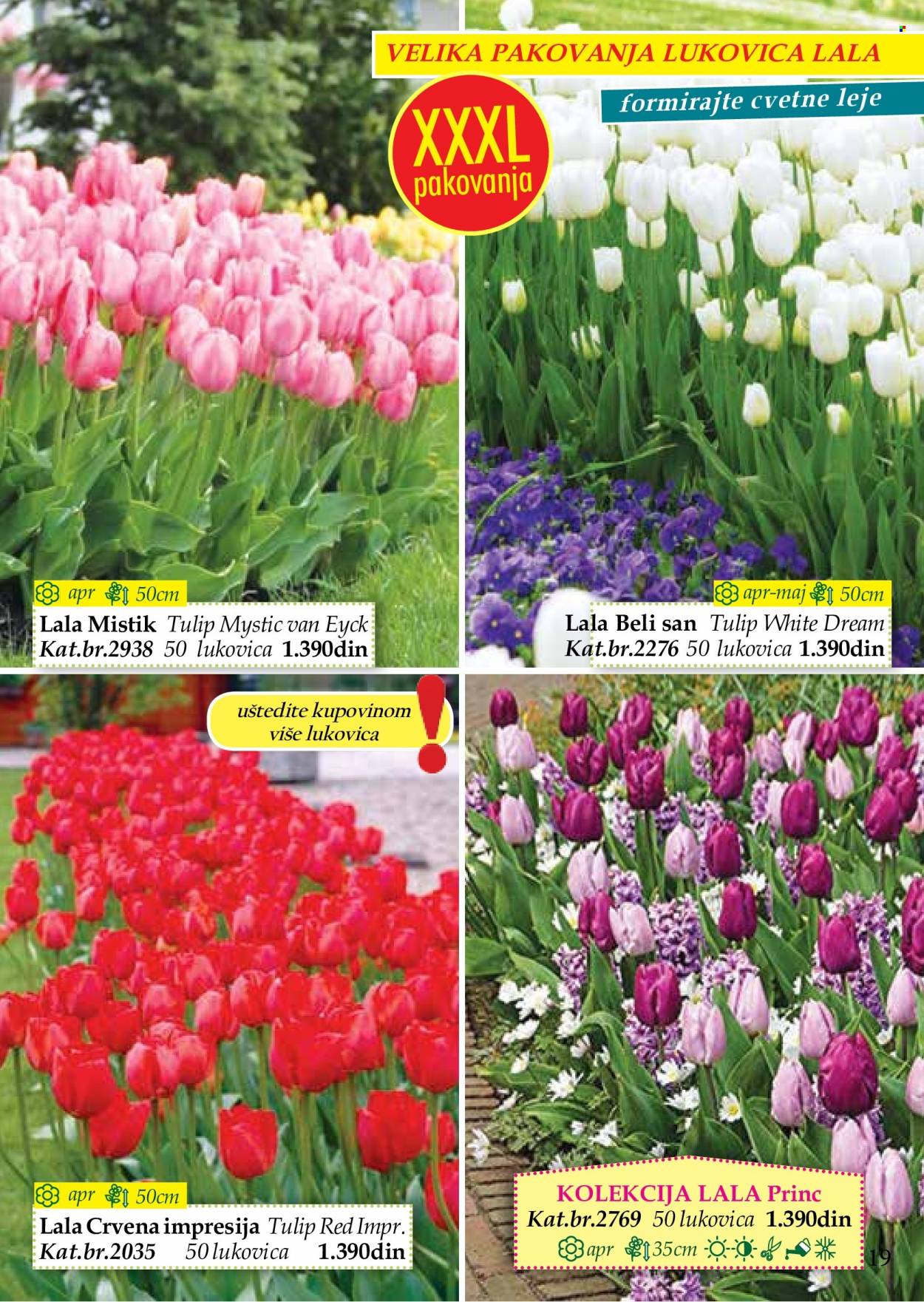 Flora Ekspres katalog. Stranica 19