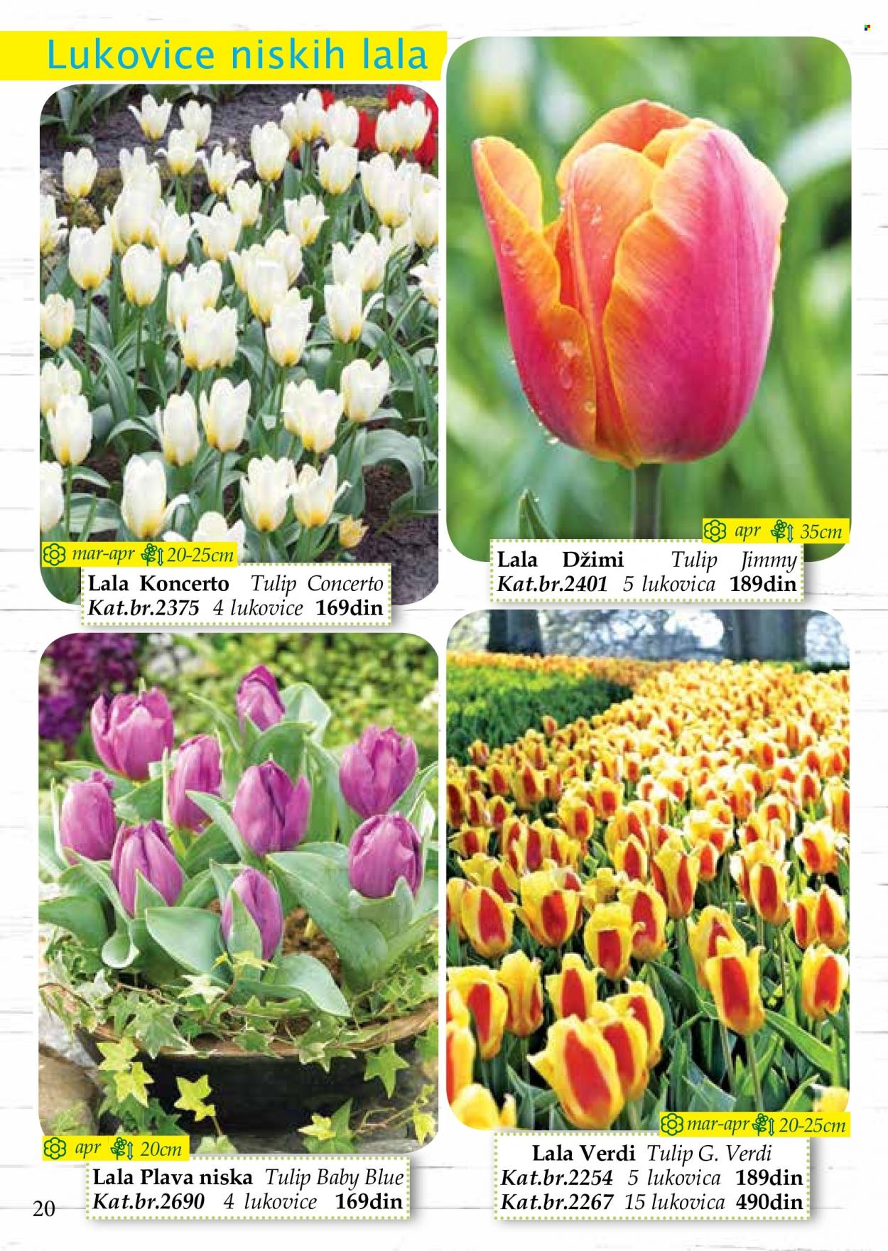 Flora Ekspres katalog. Stranica 20