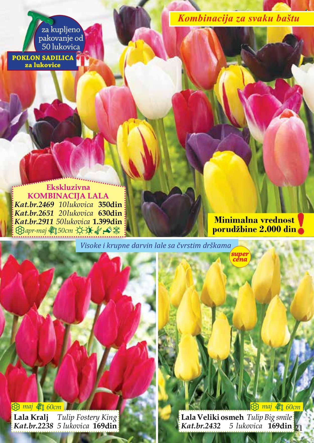 Flora Ekspres katalog. Stranica 21