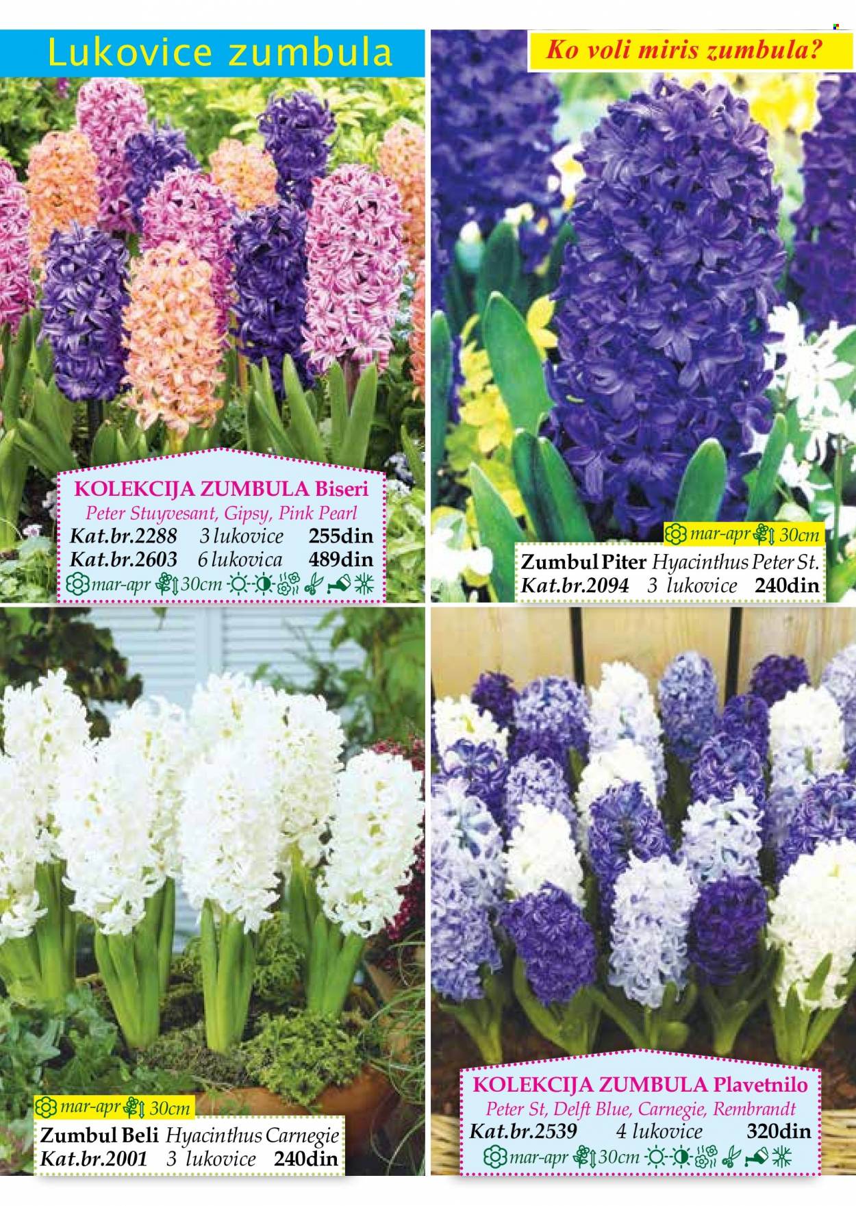 Flora Ekspres katalog. Stranica 22