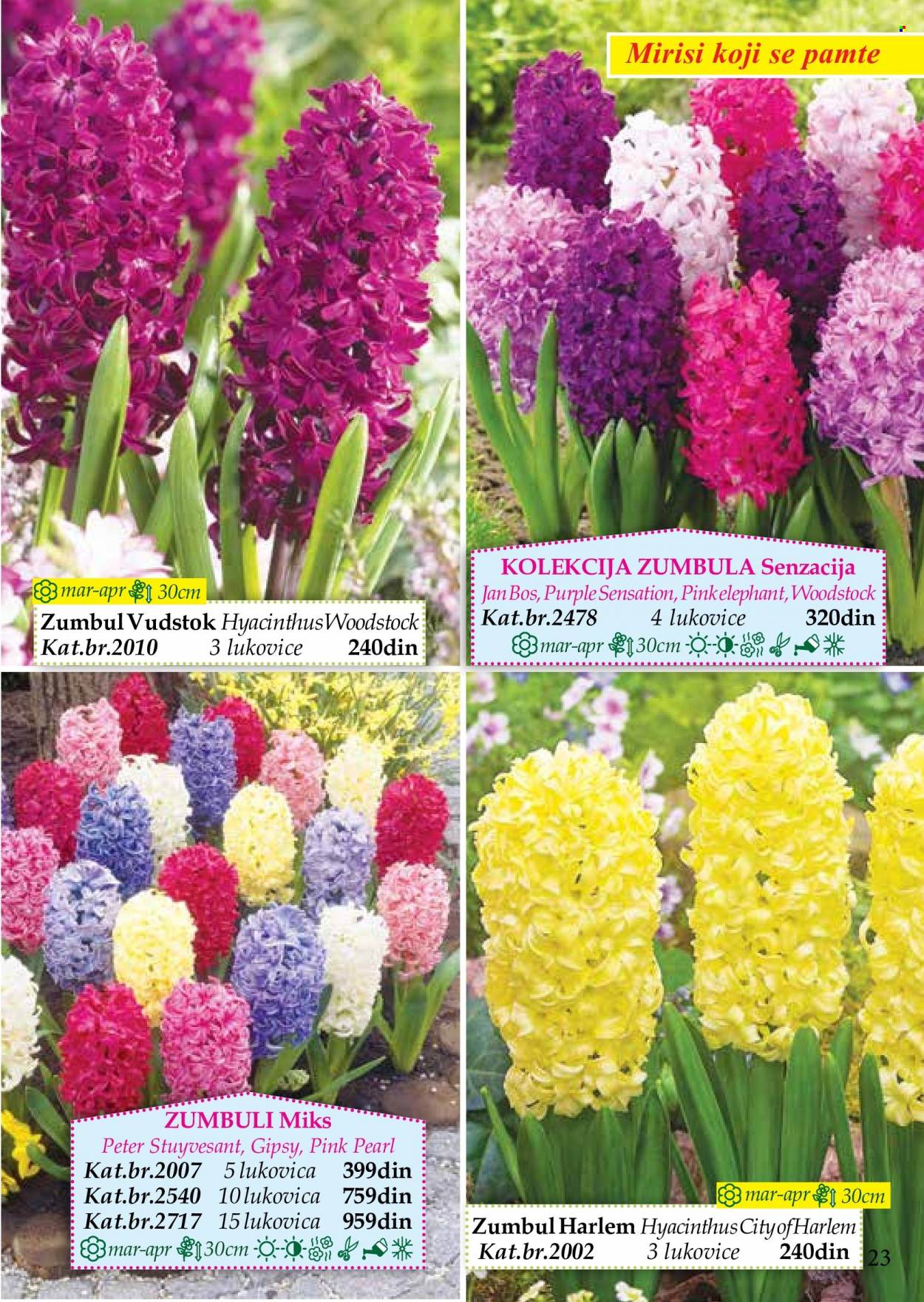 Flora Ekspres katalog. Stranica 23