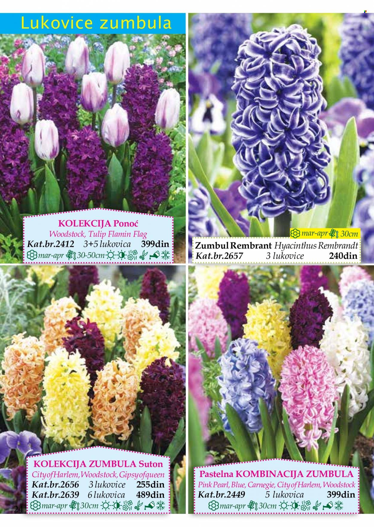 Flora Ekspres katalog. Stranica 24