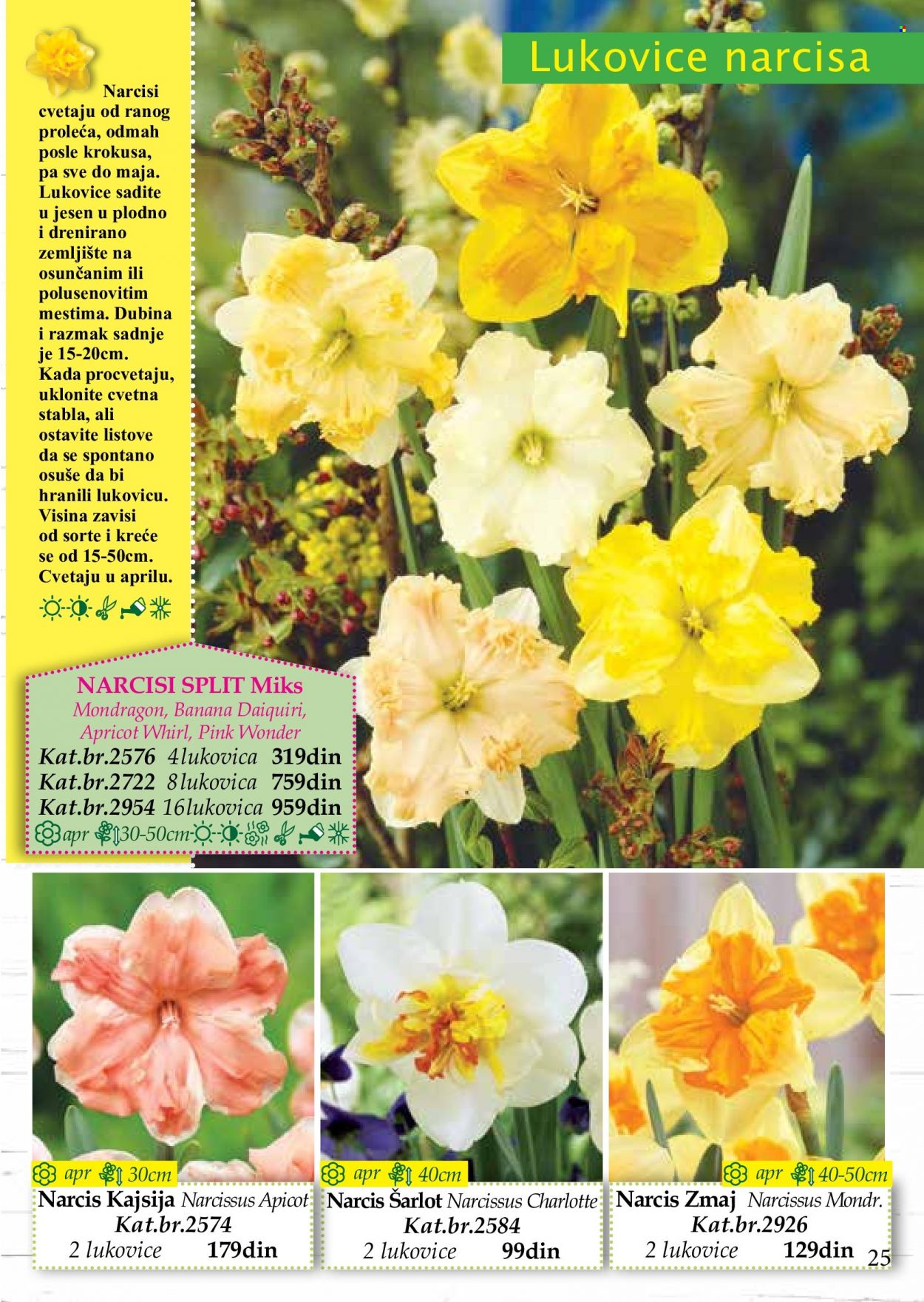 Flora Ekspres katalog. Stranica 25