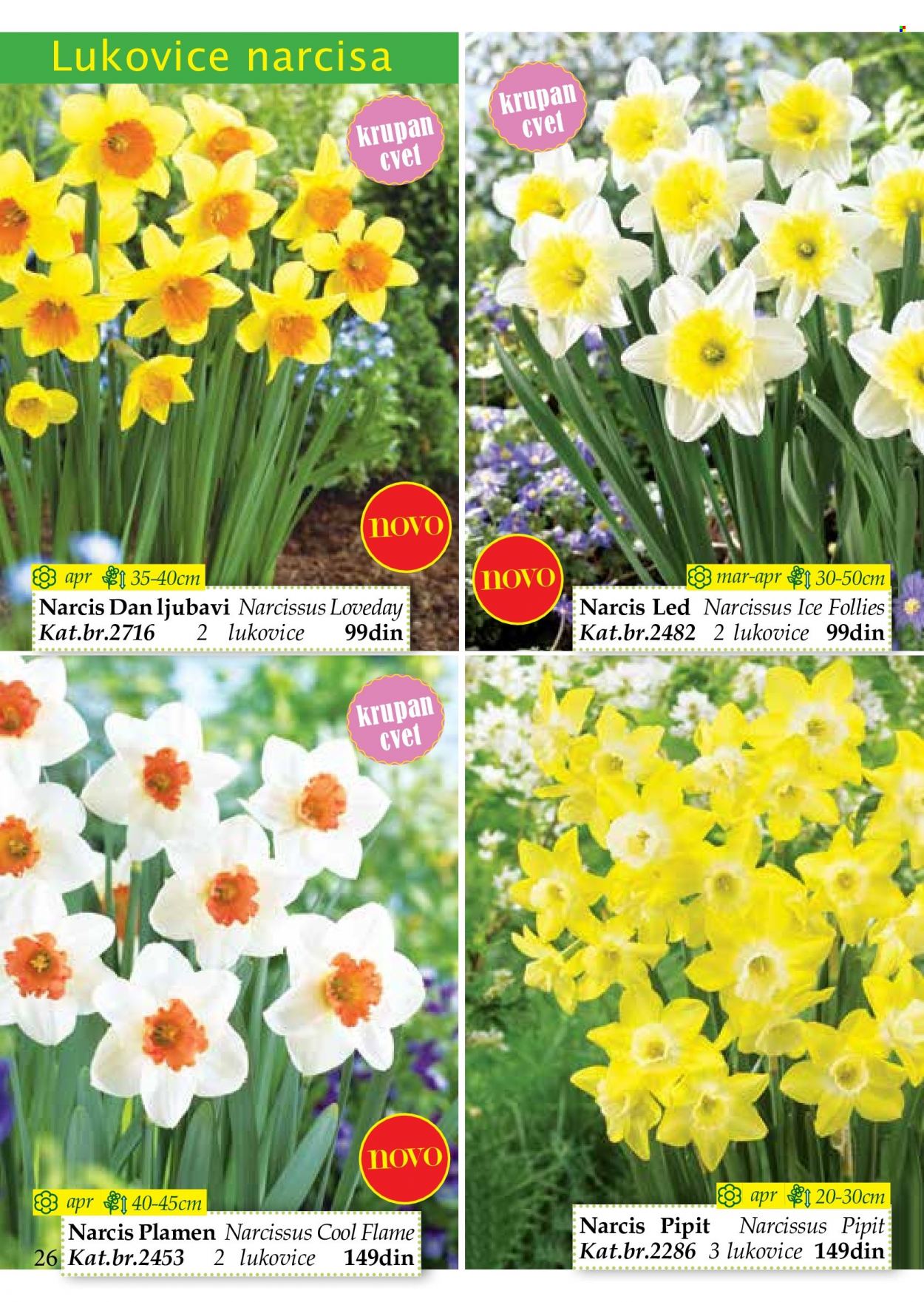 Flora Ekspres katalog. Stranica 26