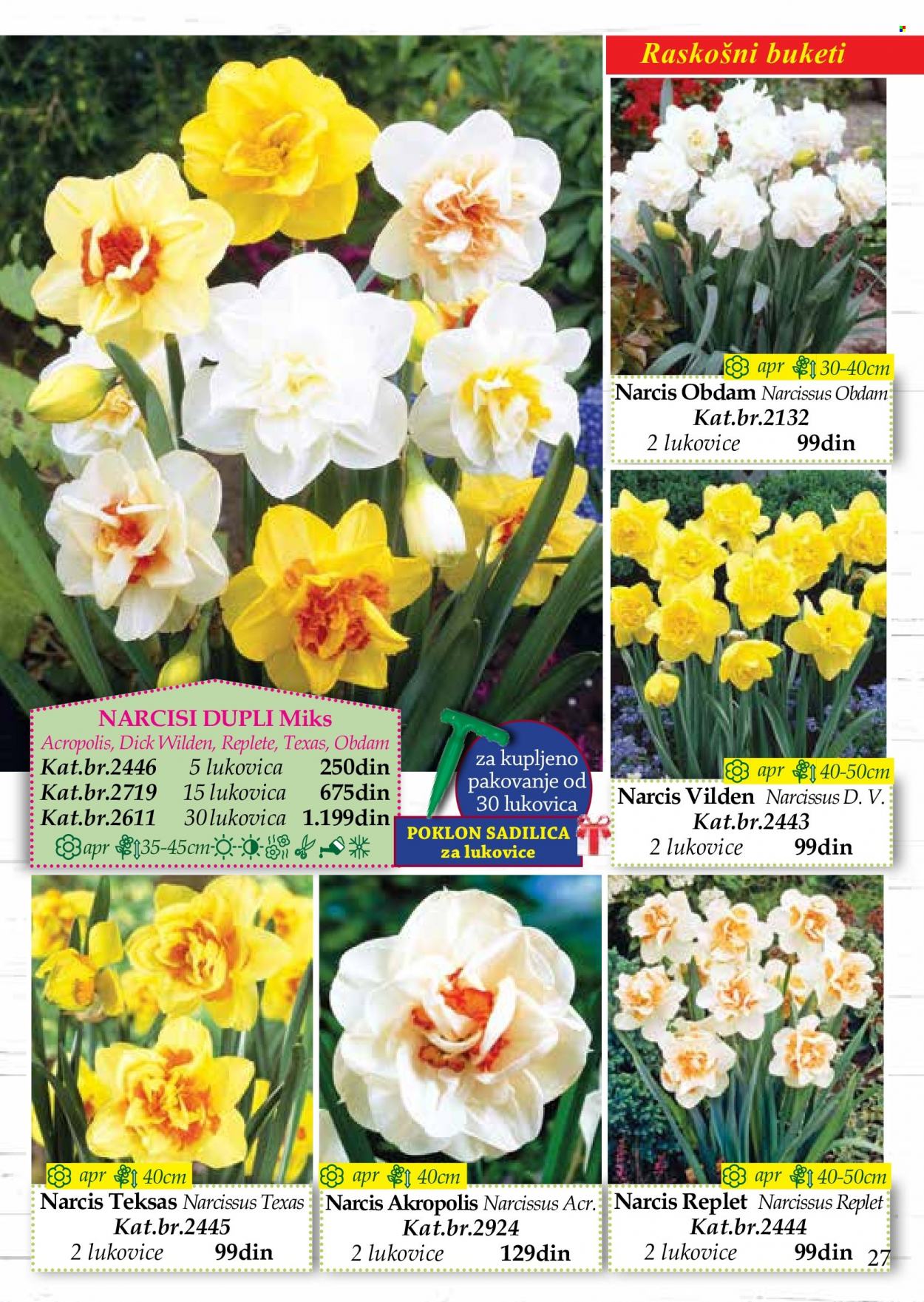 Flora Ekspres katalog. Stranica 27