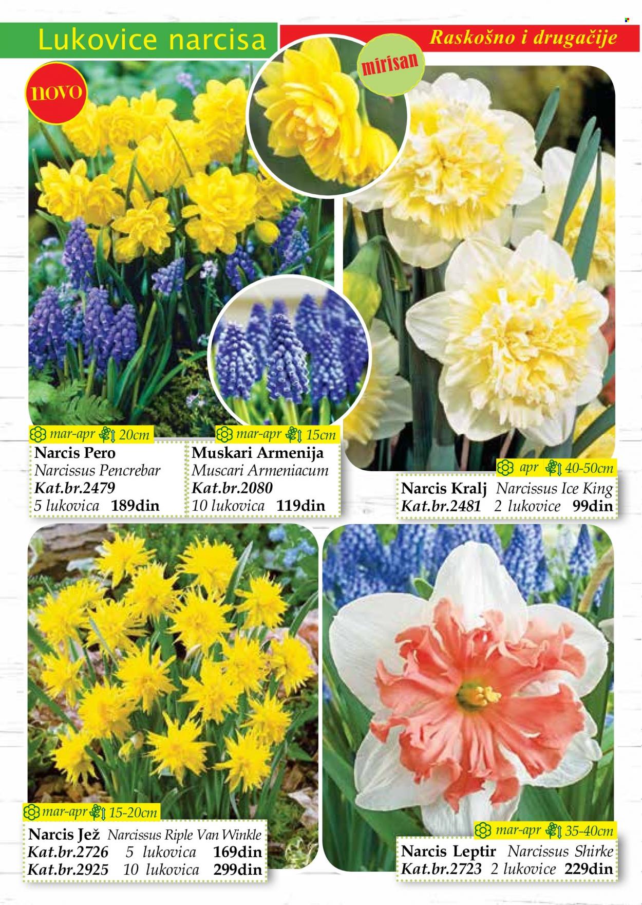 Flora Ekspres katalog. Stranica 28