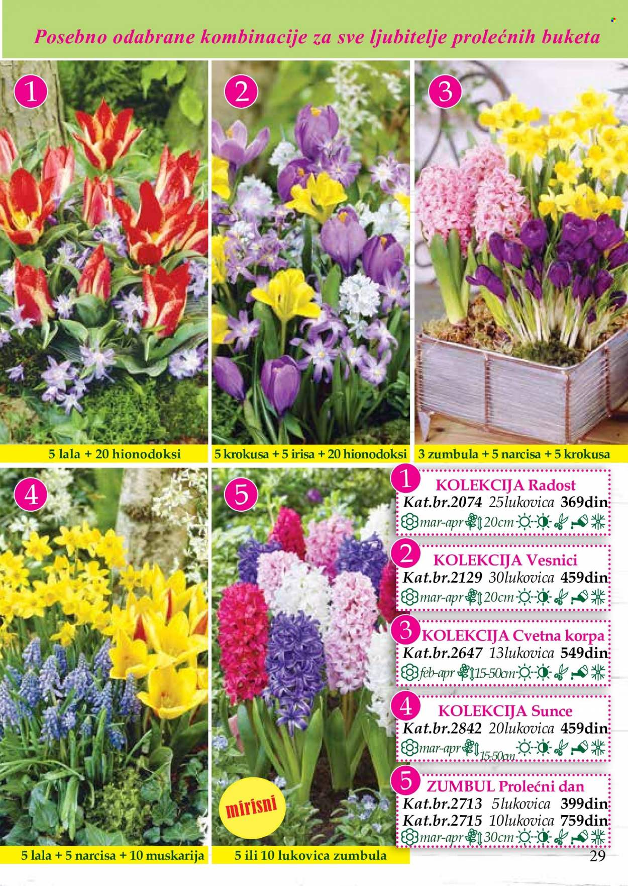 Flora Ekspres katalog. Stranica 29