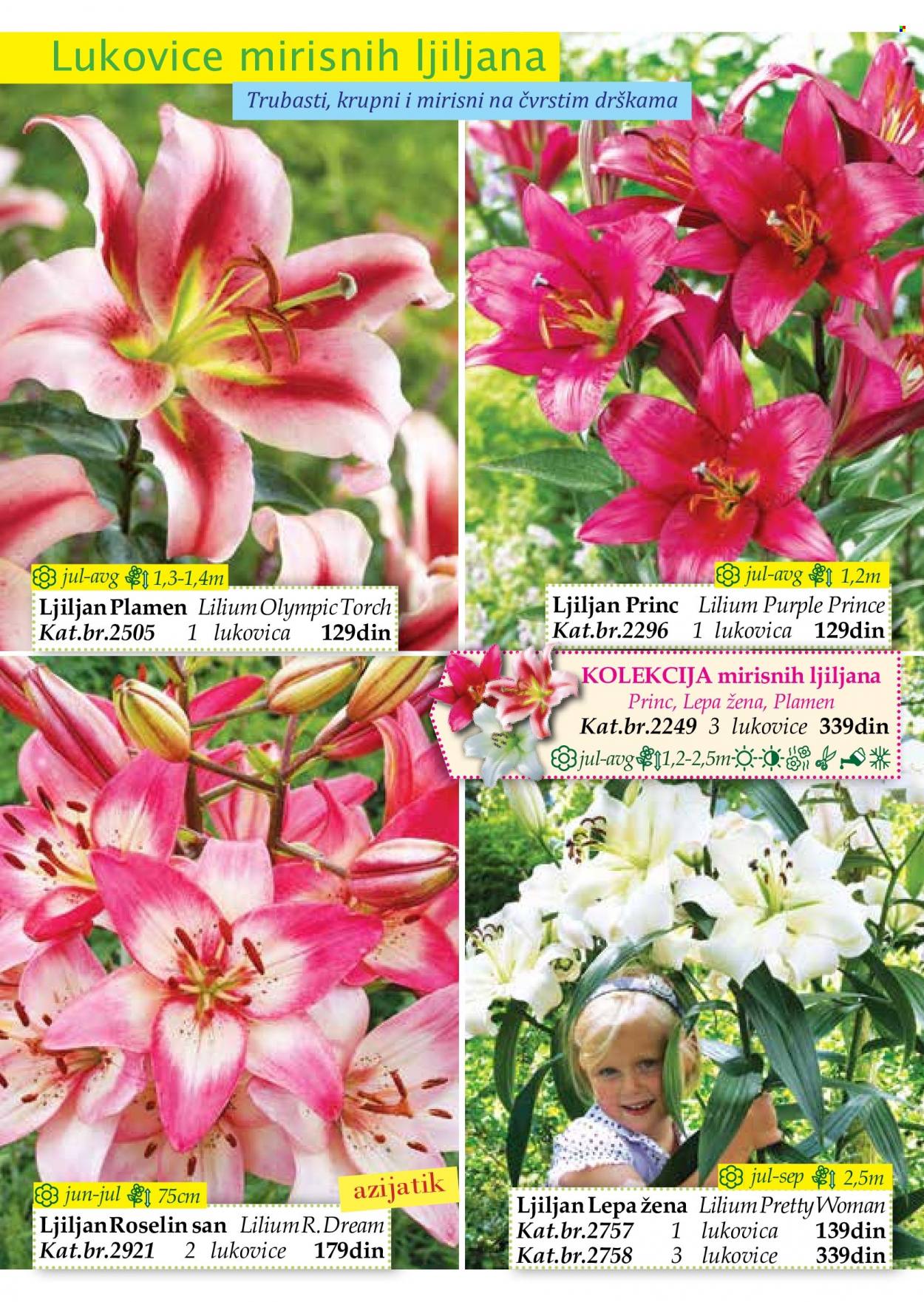 Flora Ekspres katalog. Stranica 30