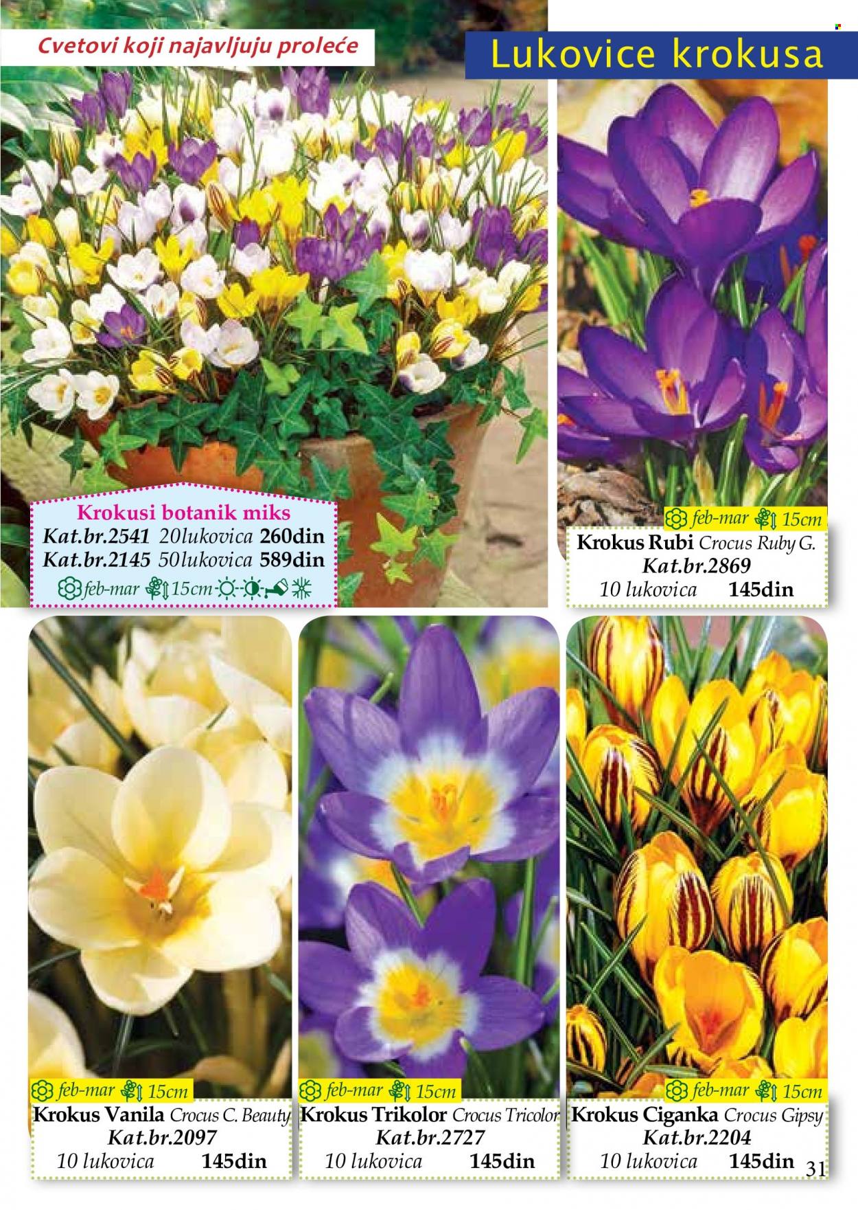 Flora Ekspres katalog. Stranica 31