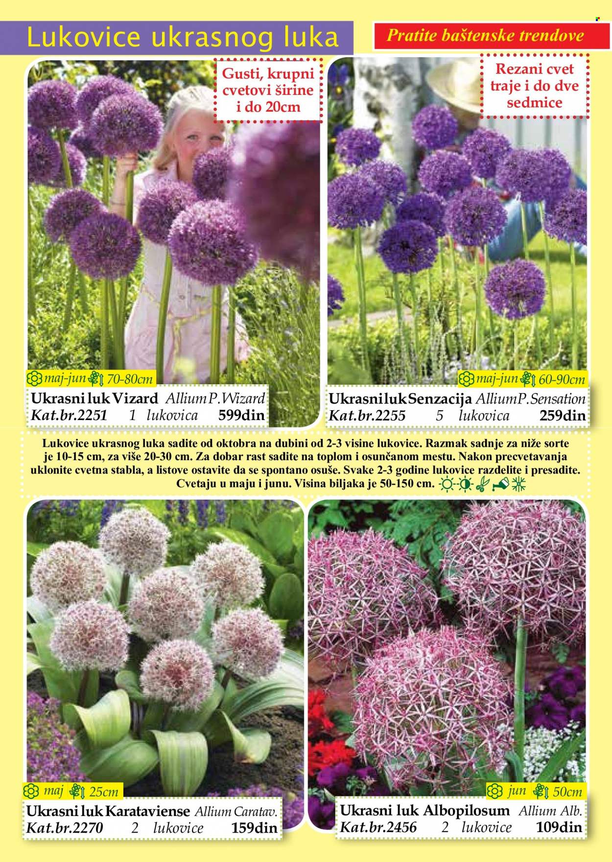 Flora Ekspres katalog. Stranica 32
