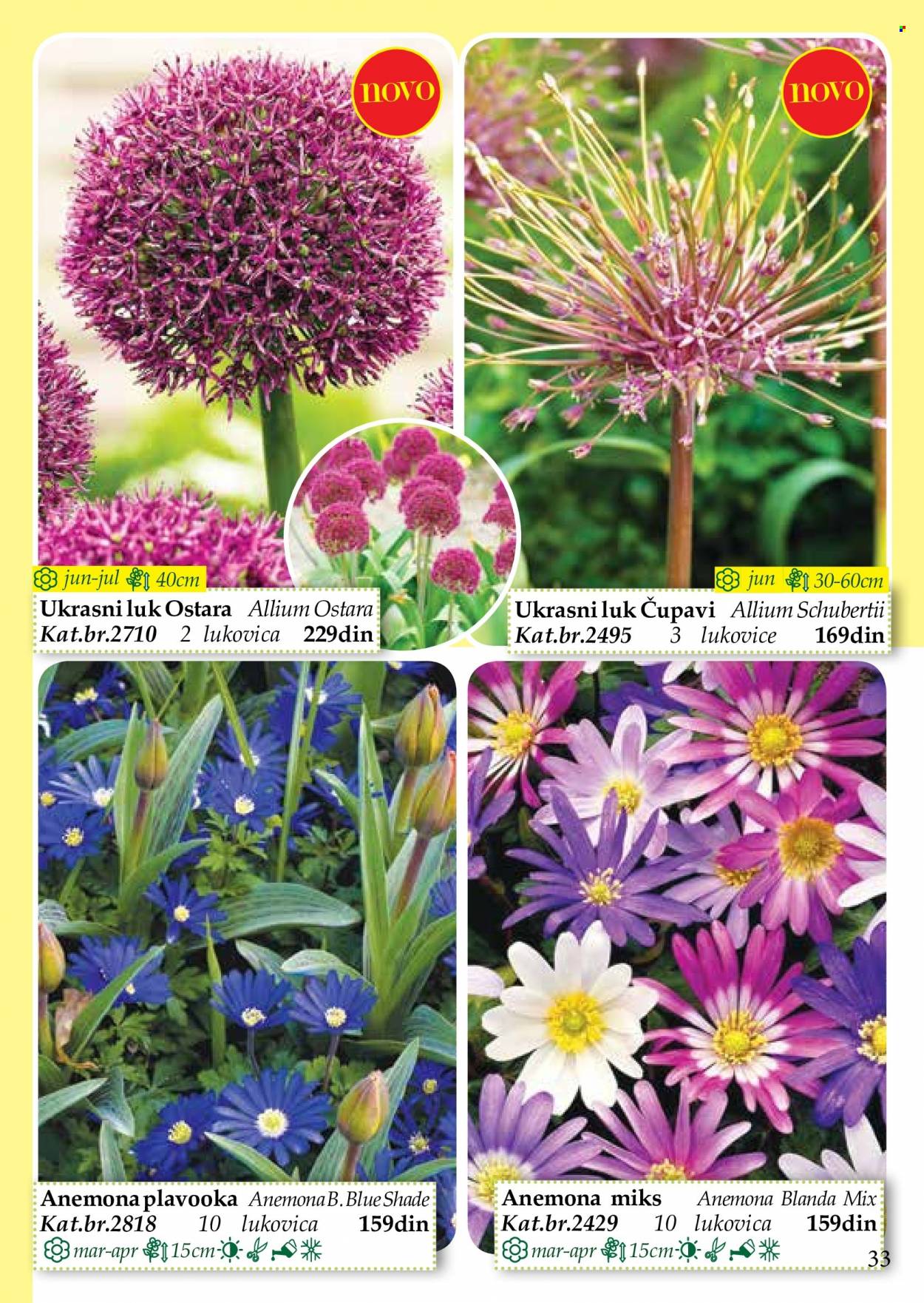 Flora Ekspres katalog. Stranica 33