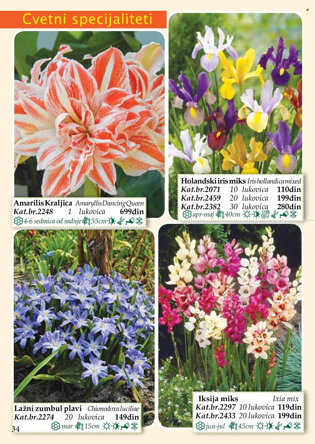 Flora Ekspres katalog. Stranica 34