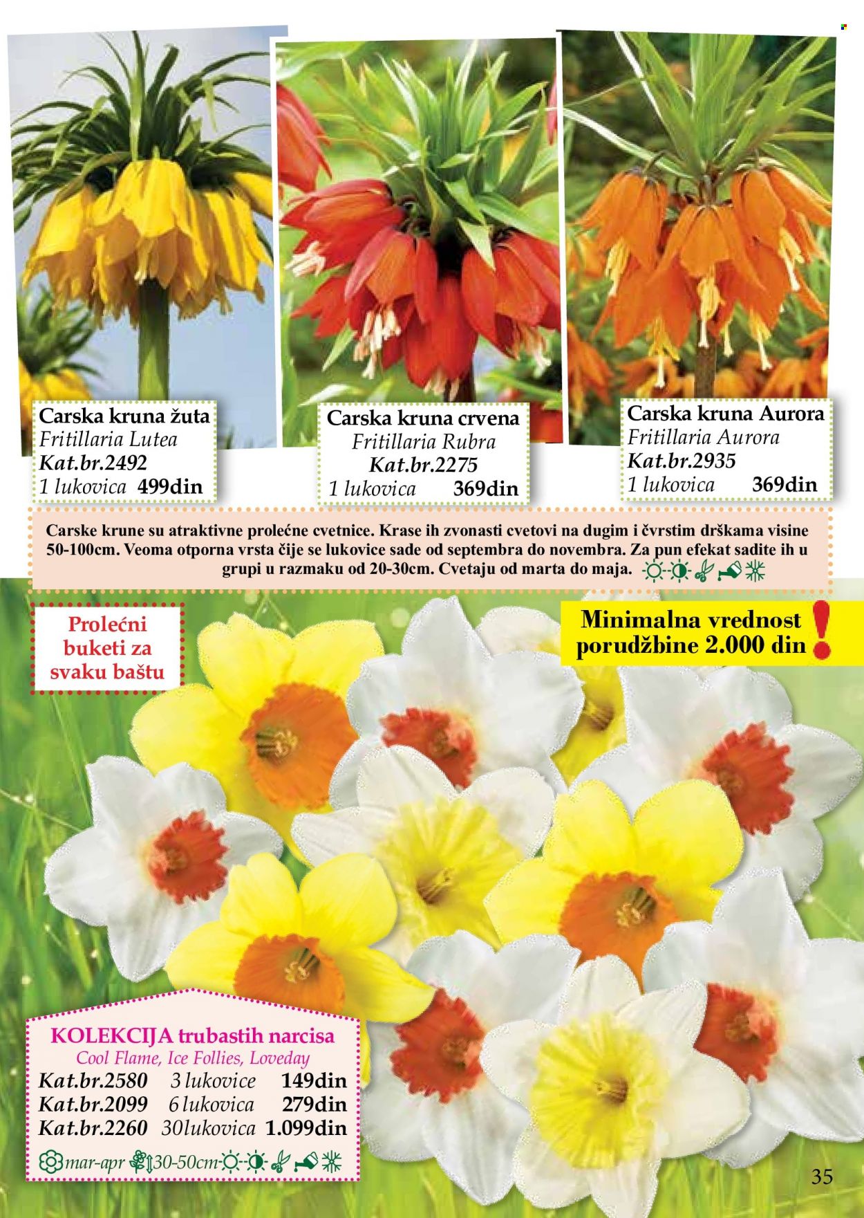 Flora Ekspres katalog. Stranica 35