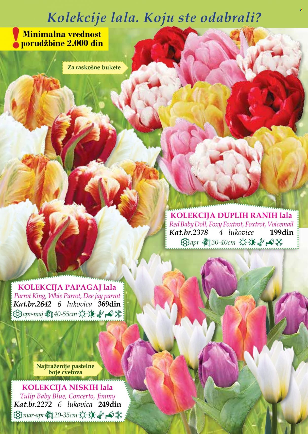 Flora Ekspres katalog. Stranica 36