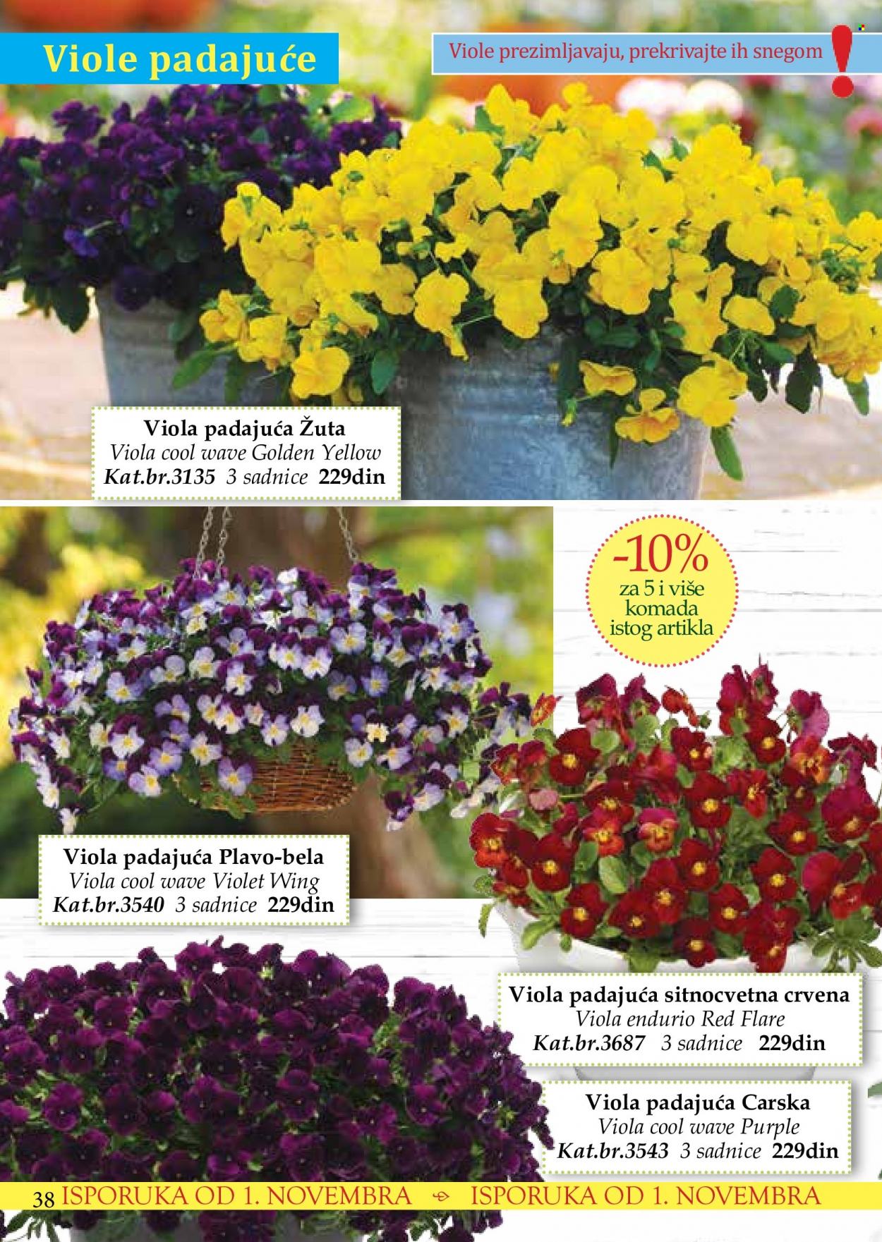 Flora Ekspres katalog. Stranica 38