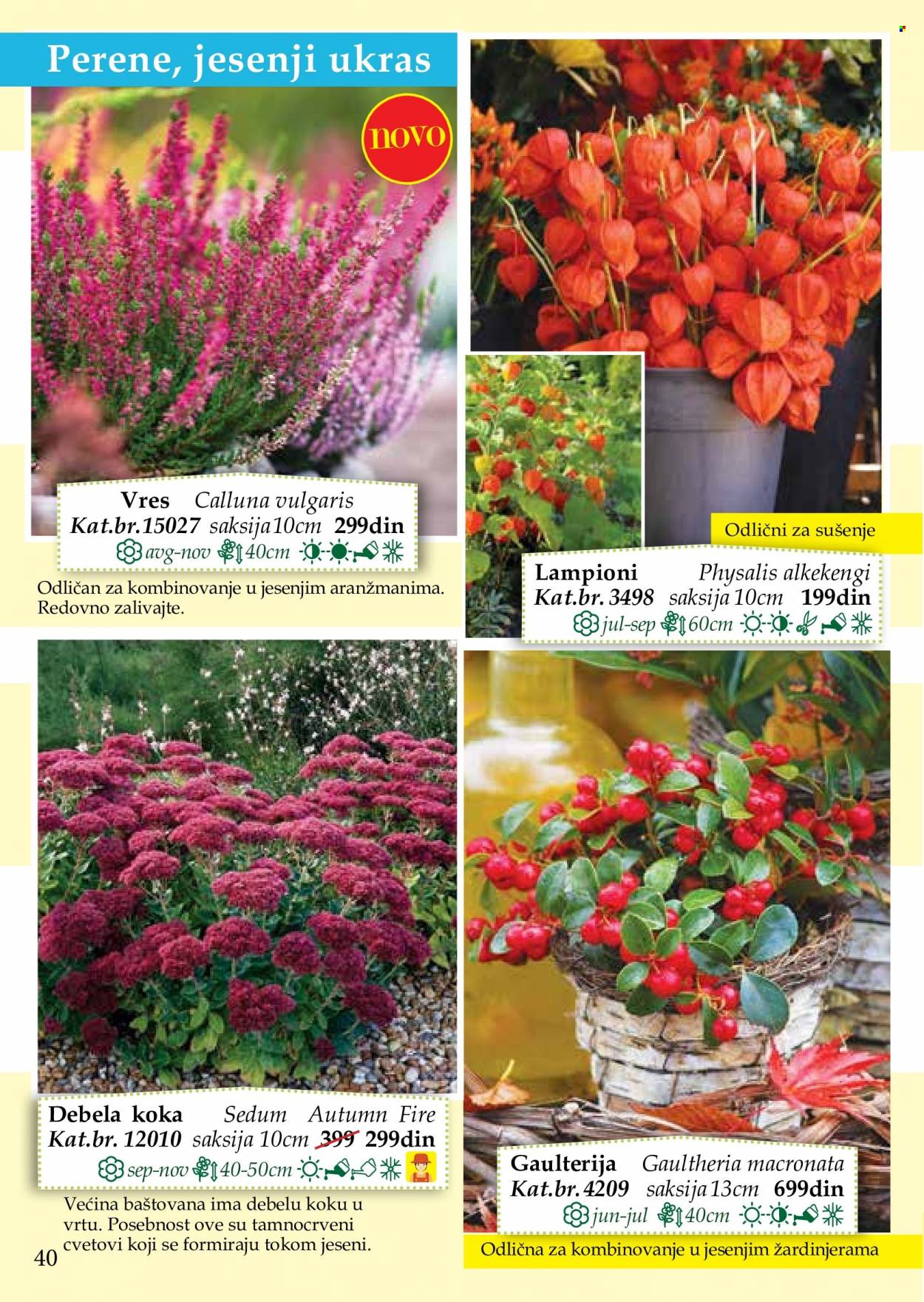 Flora Ekspres katalog. Stranica 40