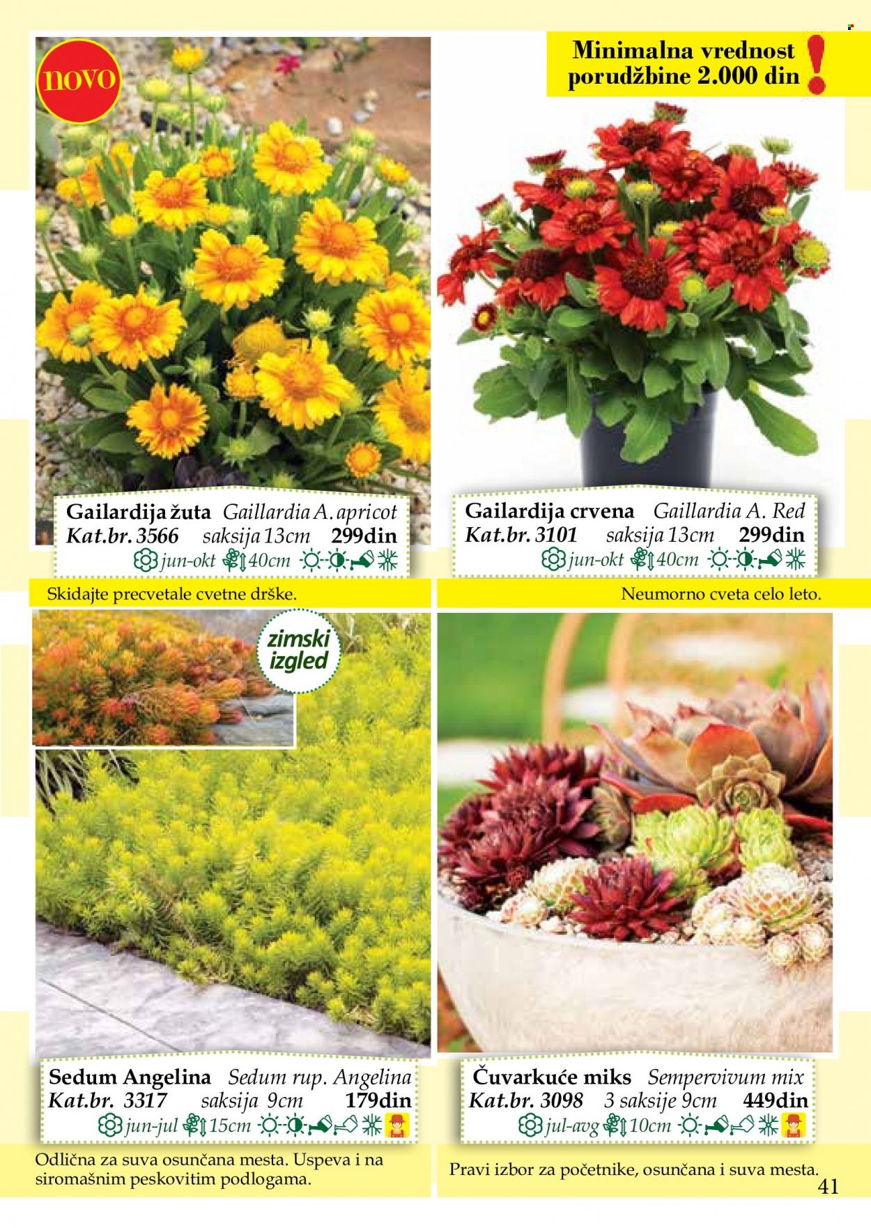 Flora Ekspres katalog. Stranica 41