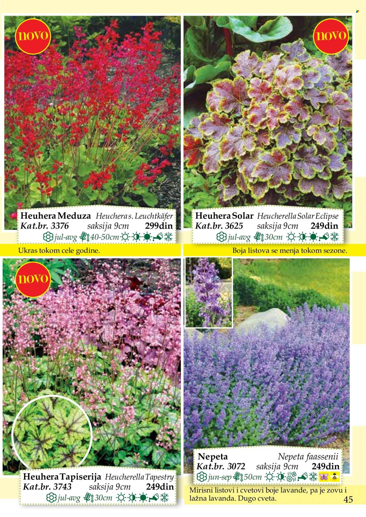 Flora Ekspres katalog. Stranica 45
