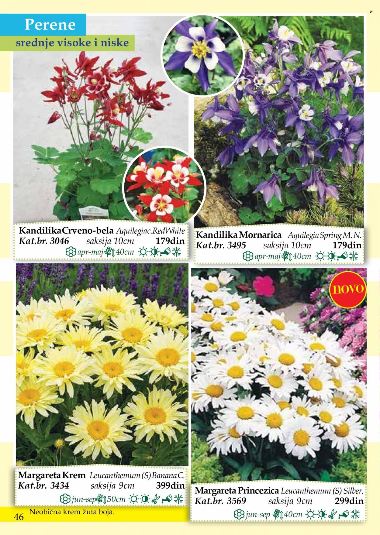 Flora Ekspres katalog. Stranica 46