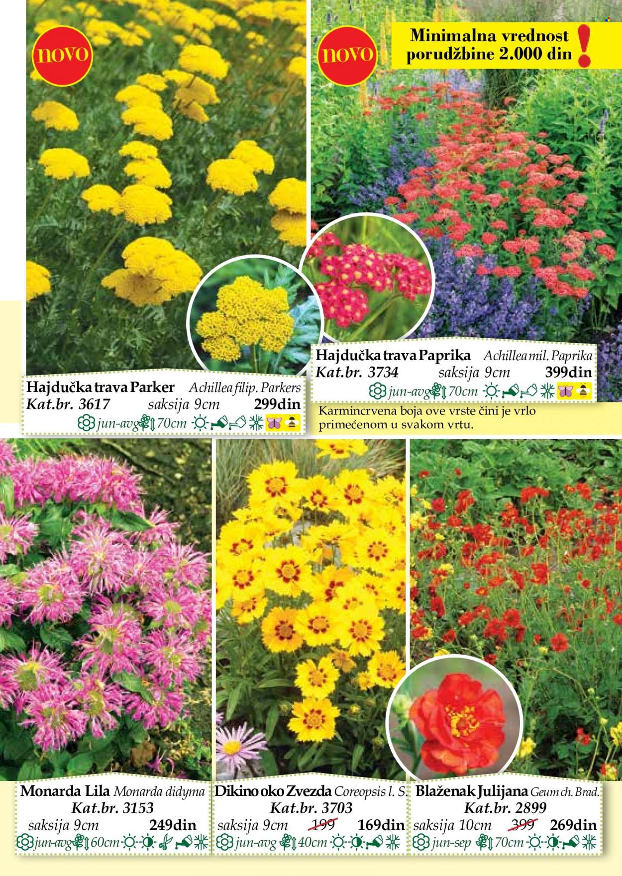 Flora Ekspres katalog. Stranica 47
