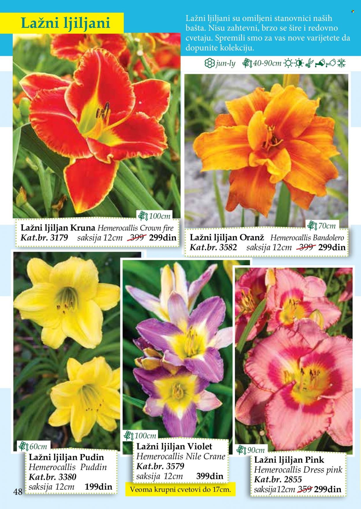 Flora Ekspres katalog. Stranica 48