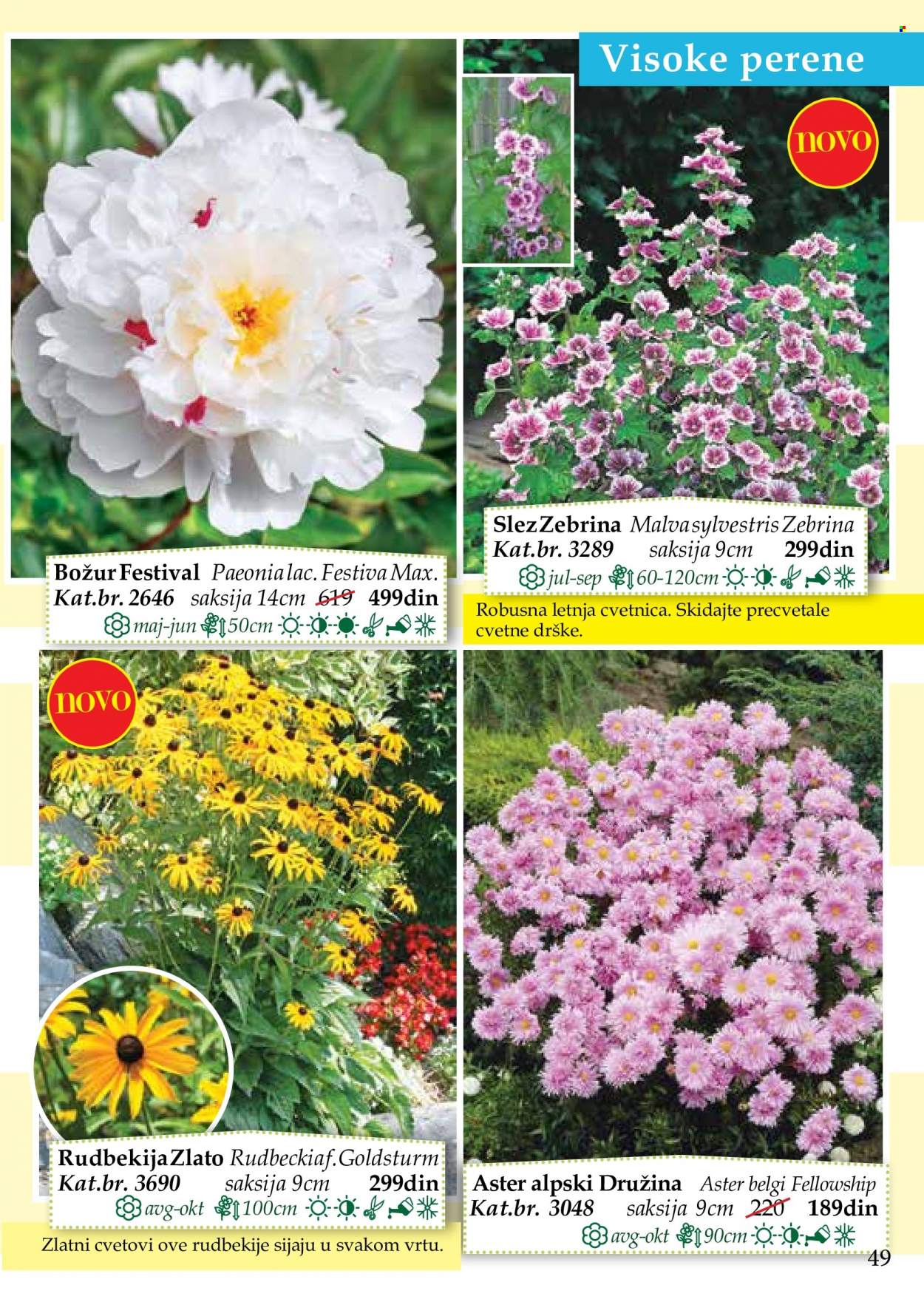 Flora Ekspres katalog. Stranica 49