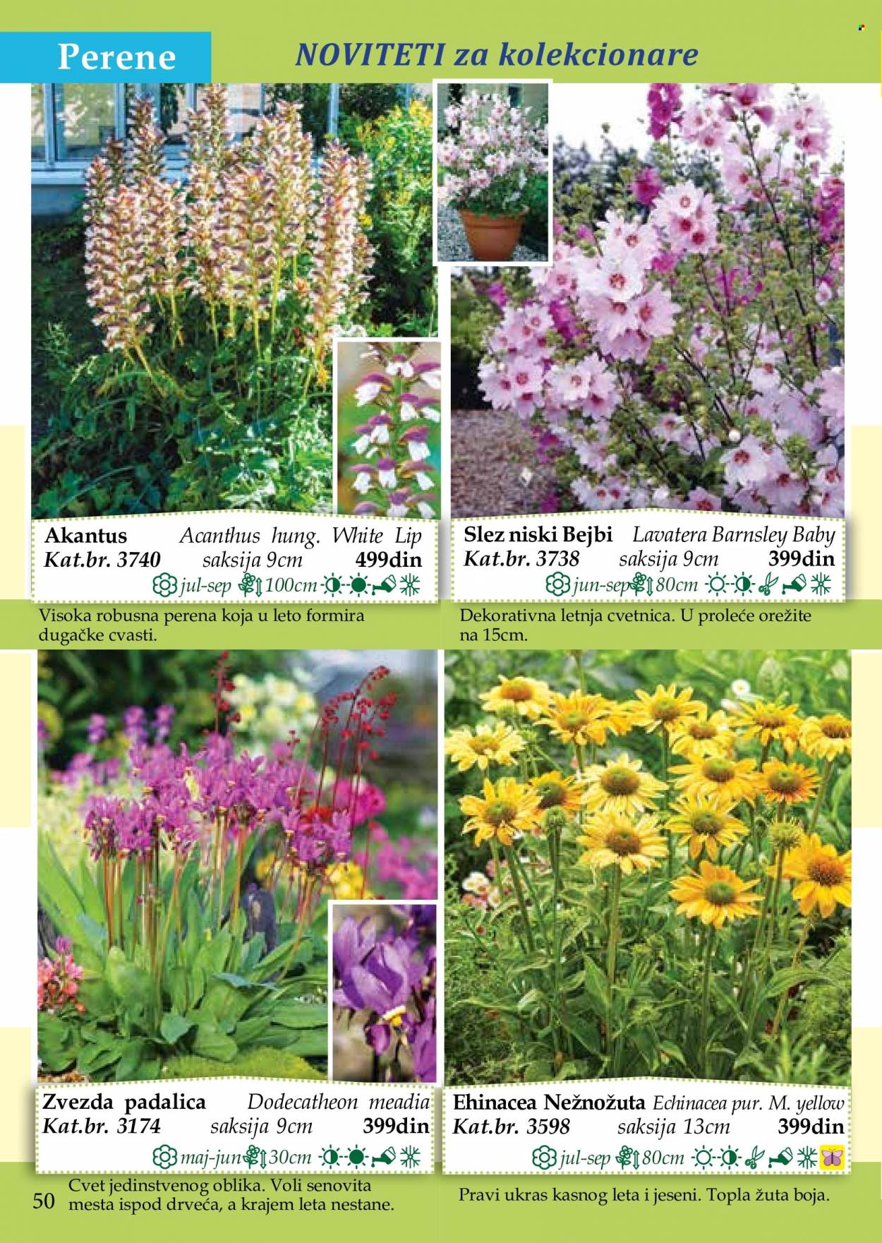 Flora Ekspres katalog. Stranica 50