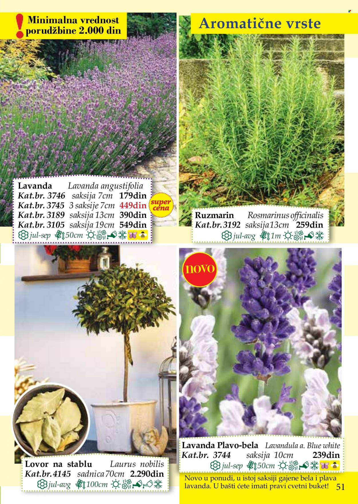 Flora Ekspres katalog. Stranica 51