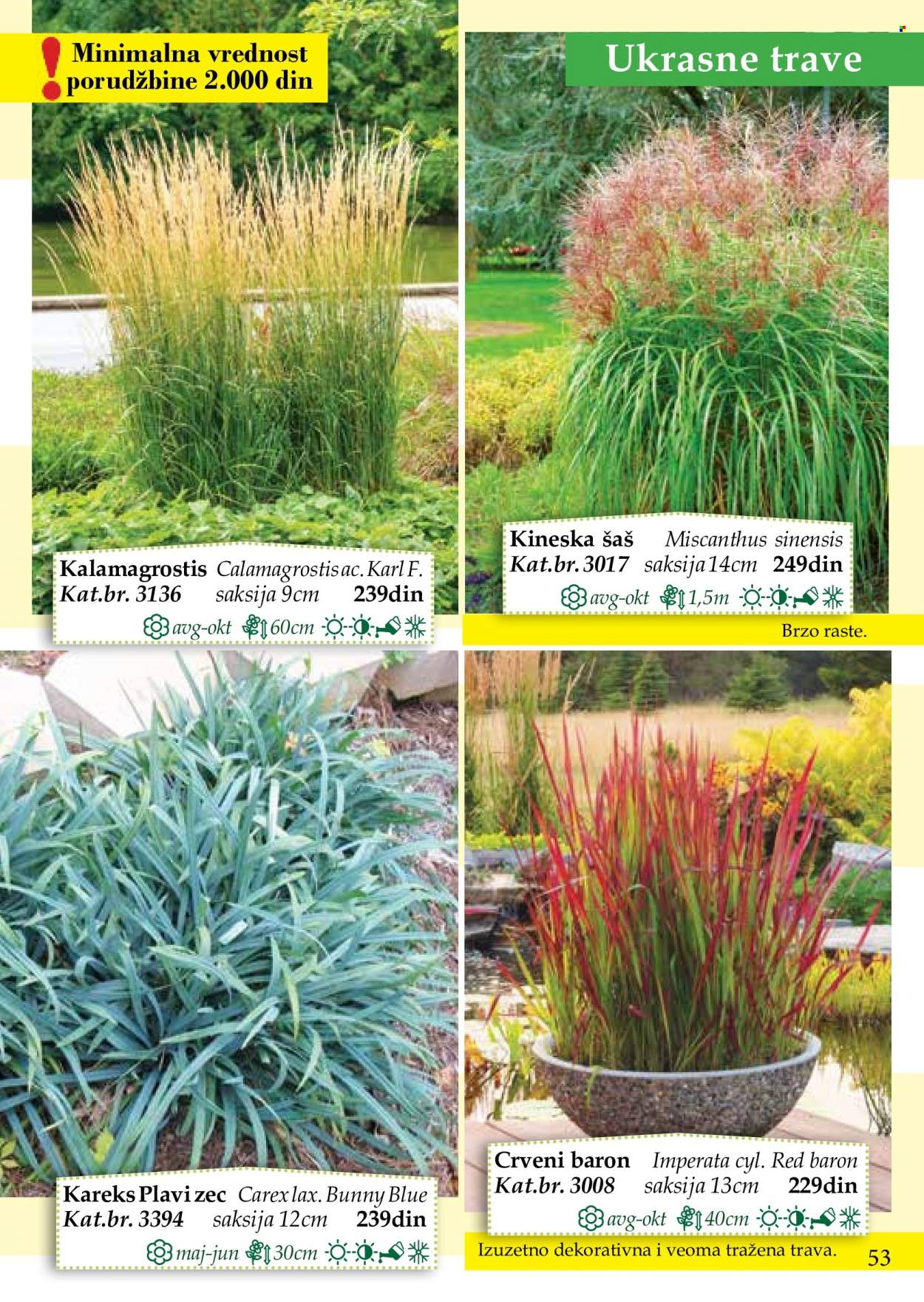Flora Ekspres katalog. Stranica 53