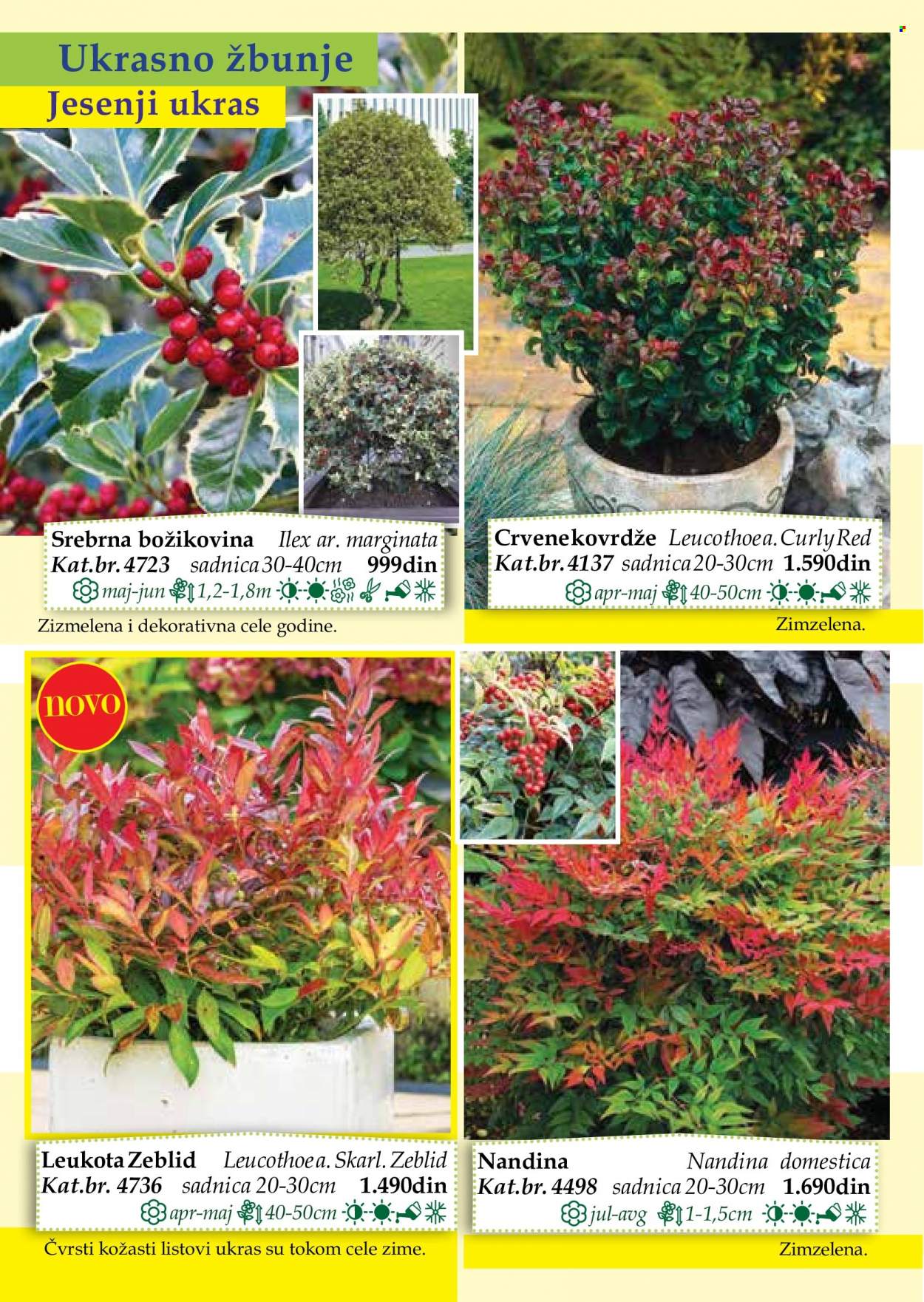 Flora Ekspres katalog. Stranica 54