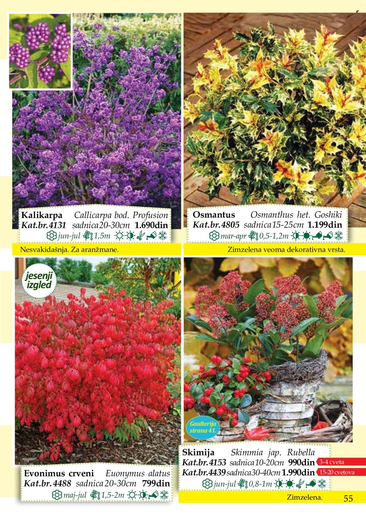 Flora Ekspres katalog. Stranica 55