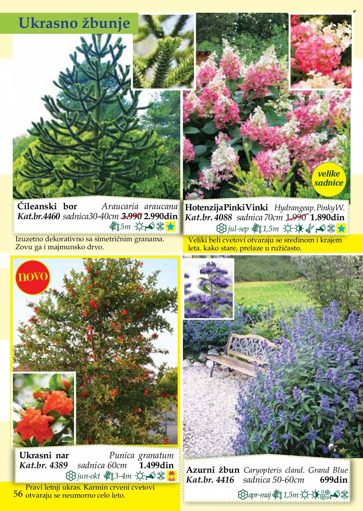 Flora Ekspres katalog. Stranica 56