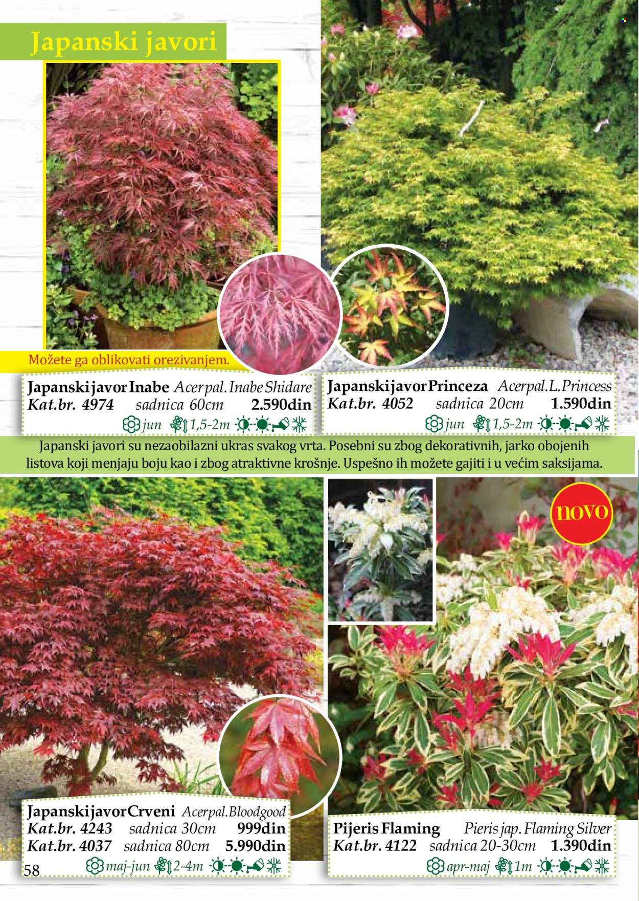 Flora Ekspres katalog. Stranica 58