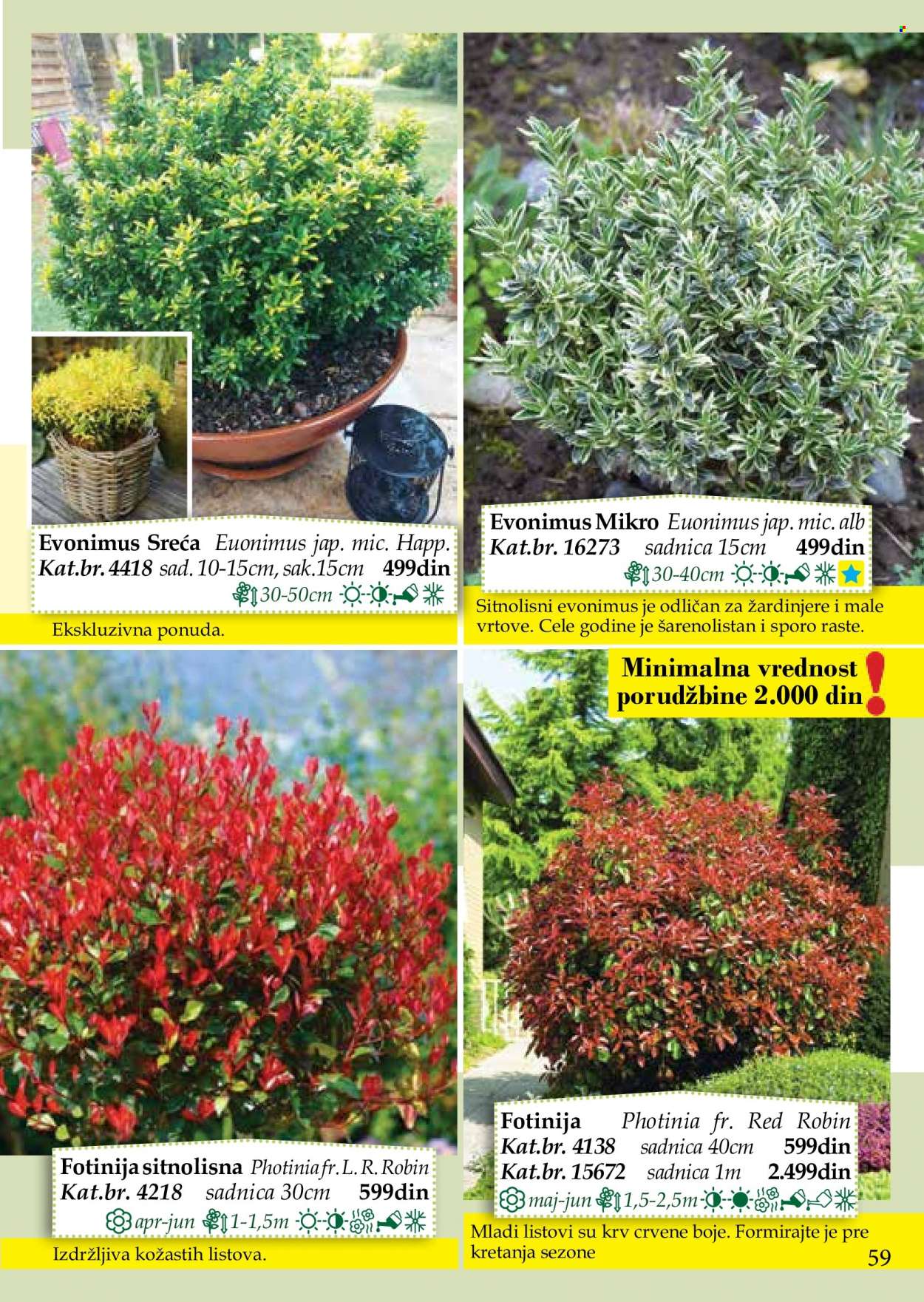 Flora Ekspres katalog. Stranica 59