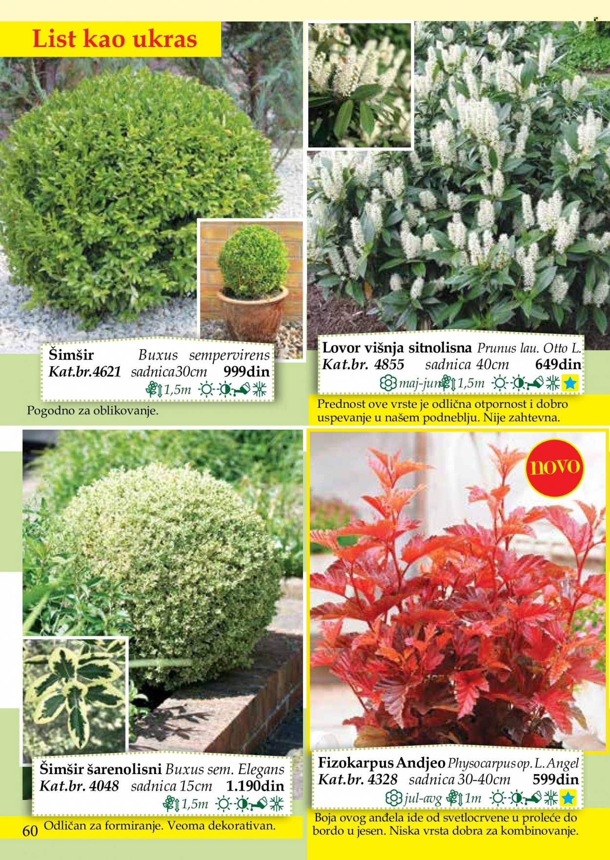 Flora Ekspres katalog. Stranica 60