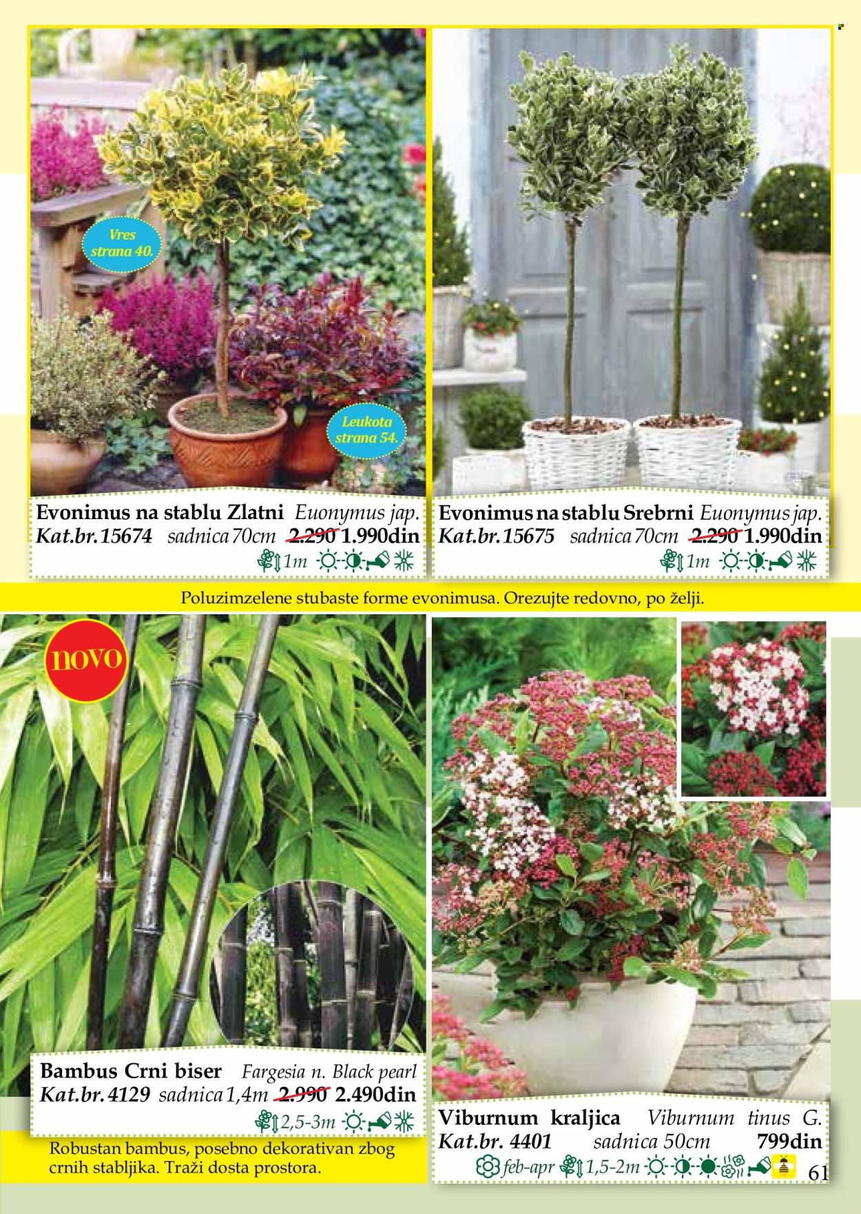 Flora Ekspres katalog. Stranica 61