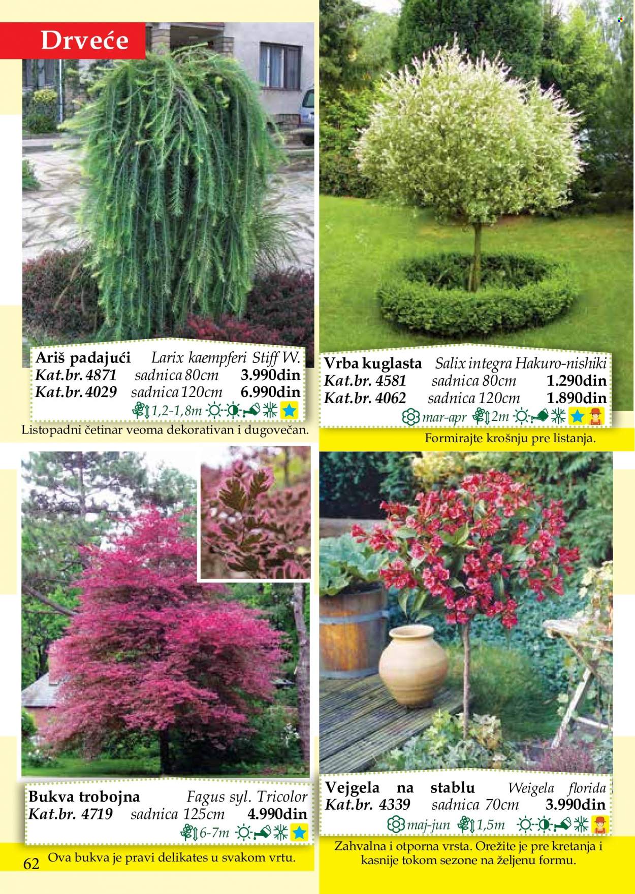 Flora Ekspres katalog. Stranica 62