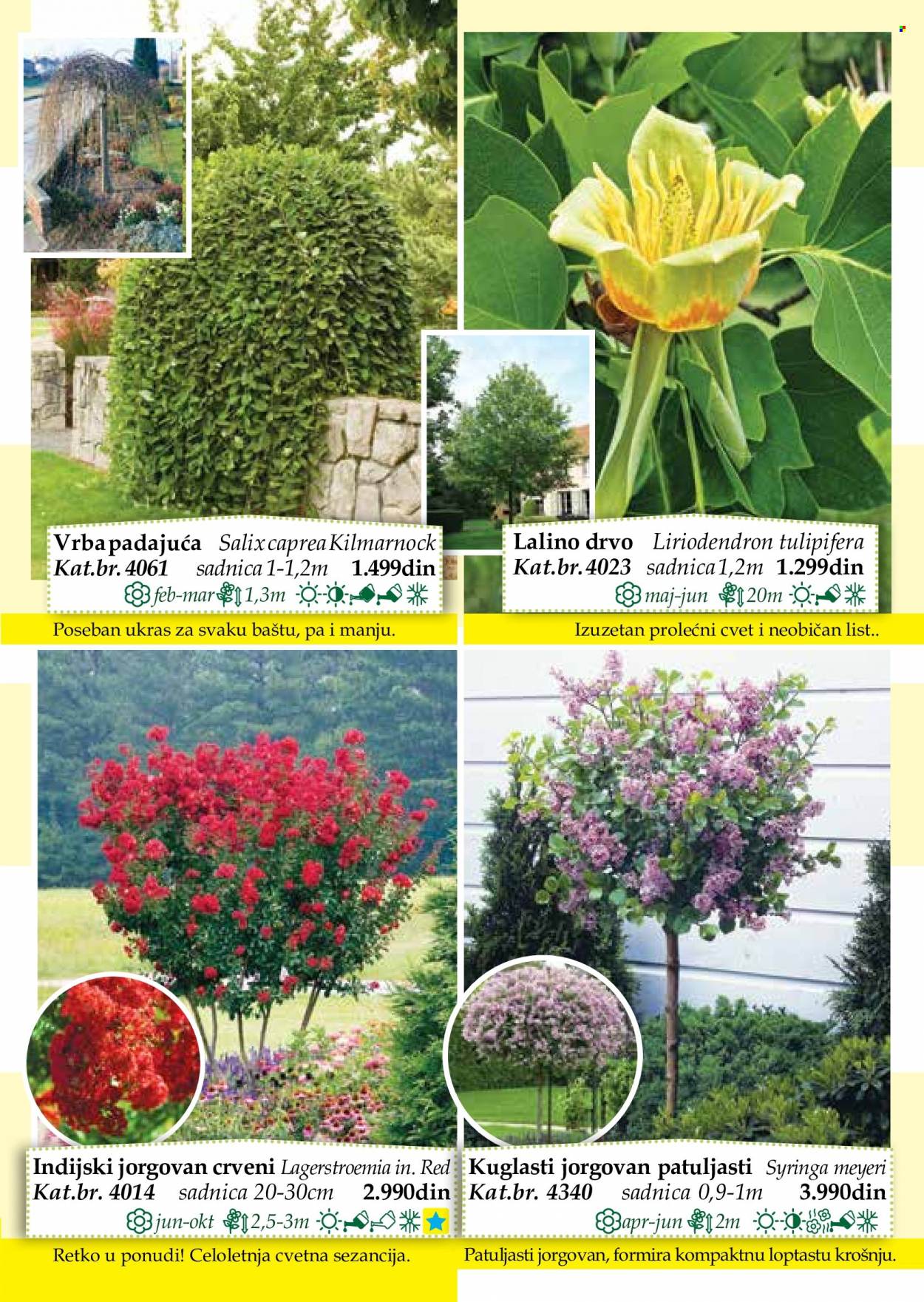 Flora Ekspres katalog. Stranica 63