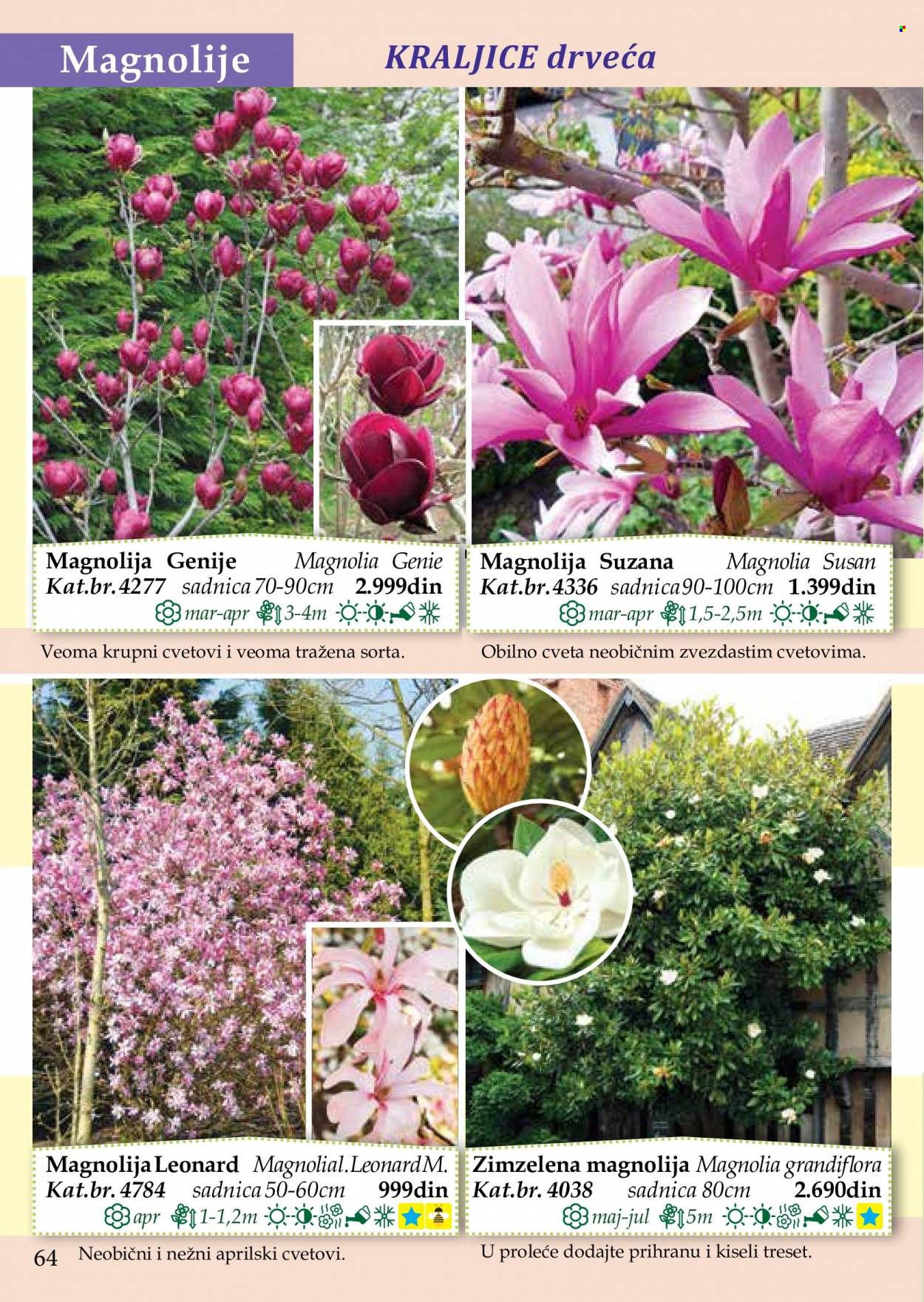 Flora Ekspres katalog. Stranica 64