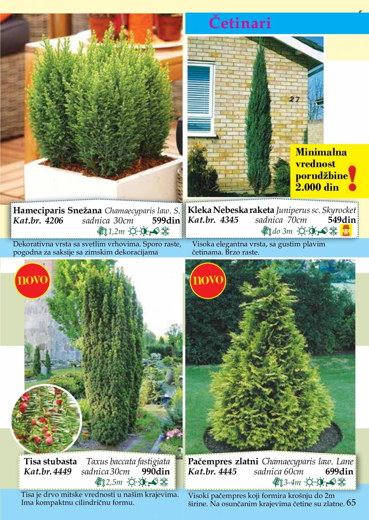Flora Ekspres katalog. Stranica 65