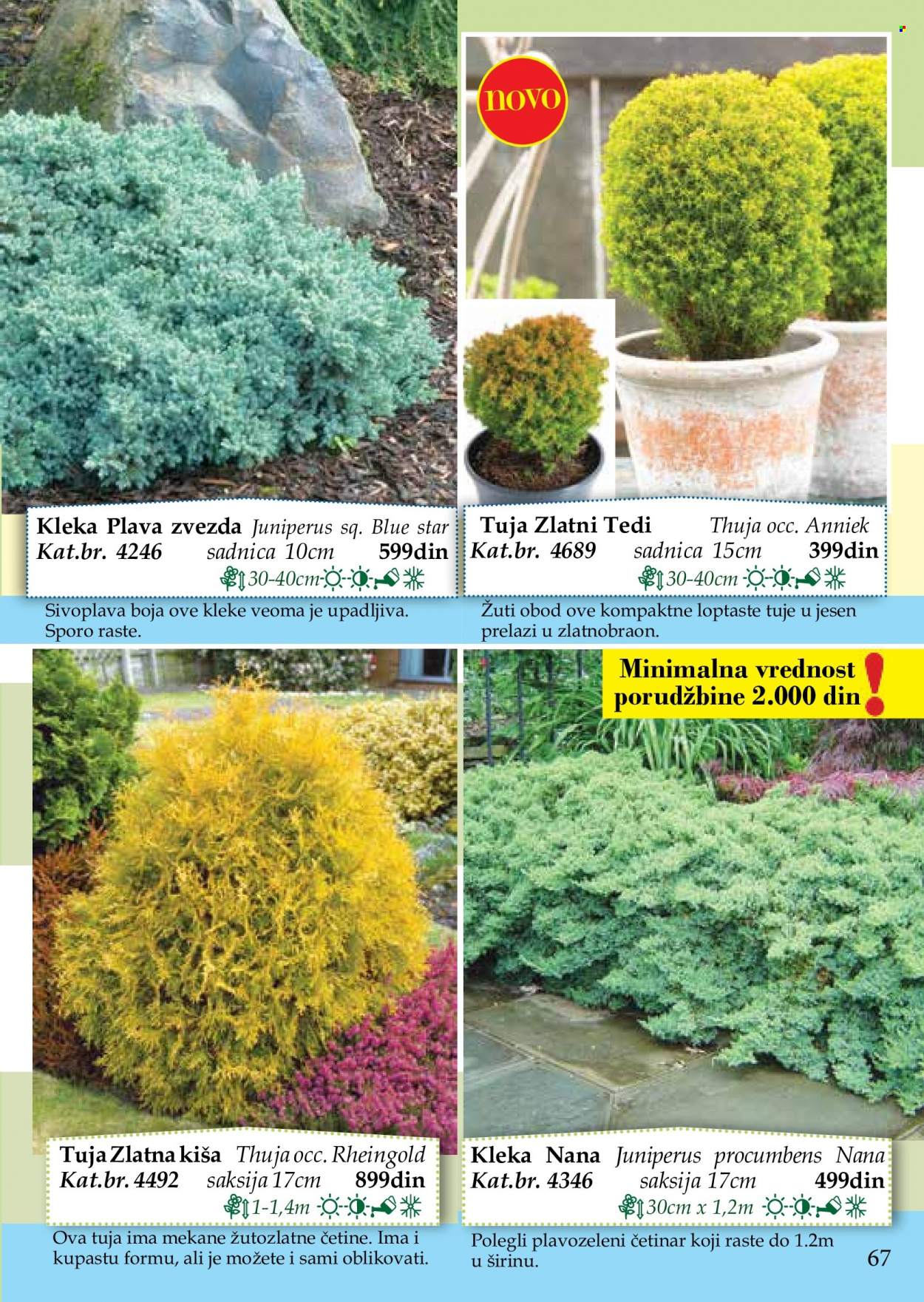 Flora Ekspres katalog. Stranica 67