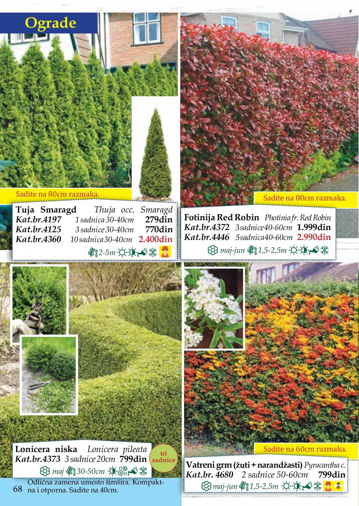 Flora Ekspres katalog. Stranica 68