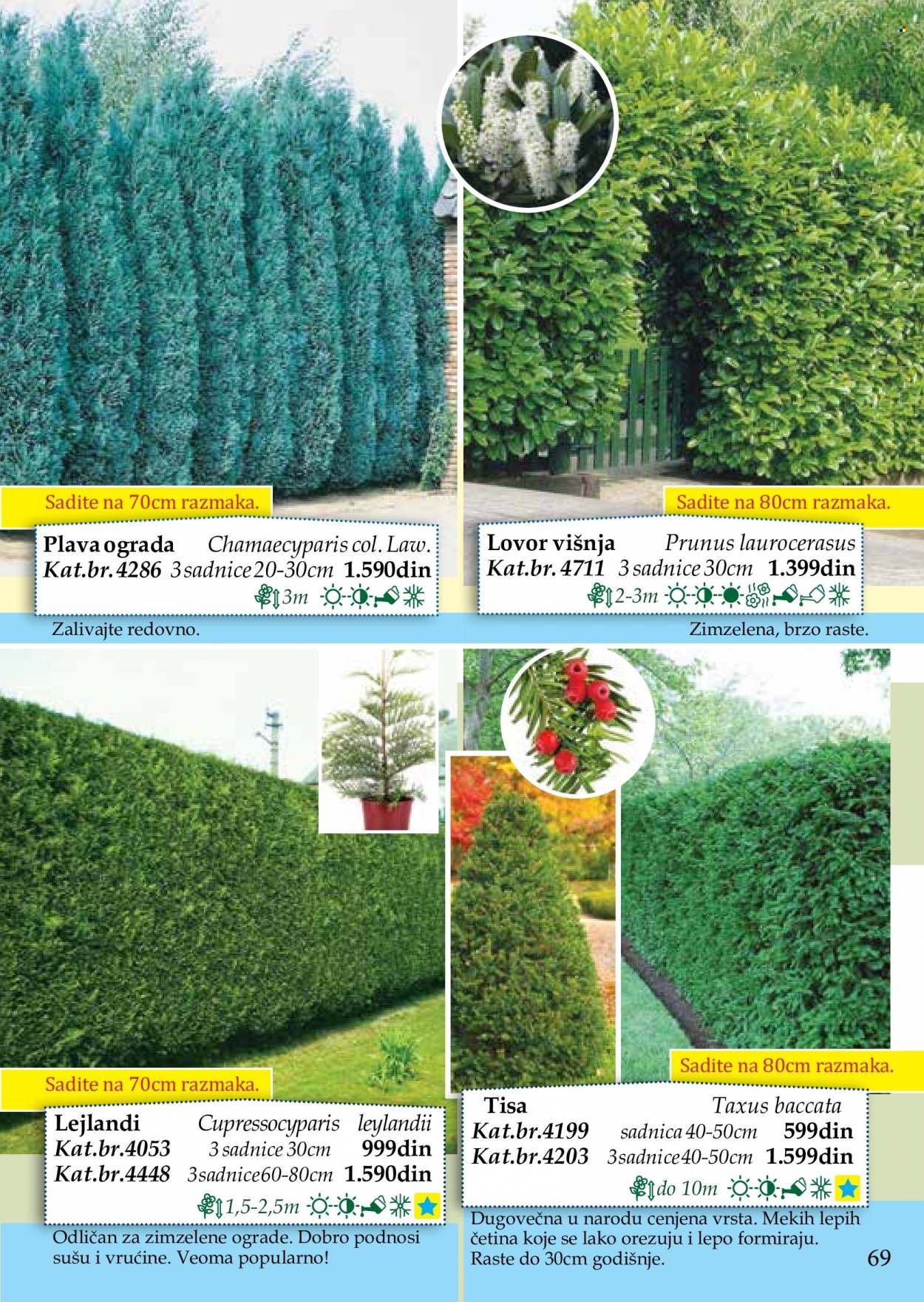 Flora Ekspres katalog. Stranica 69