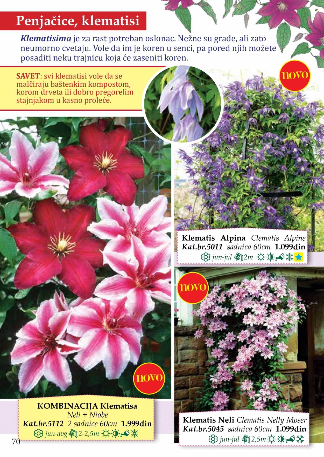 Flora Ekspres katalog. Stranica 70