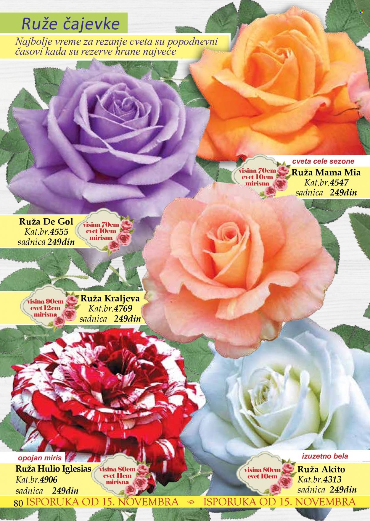 Flora Ekspres katalog. Stranica 80