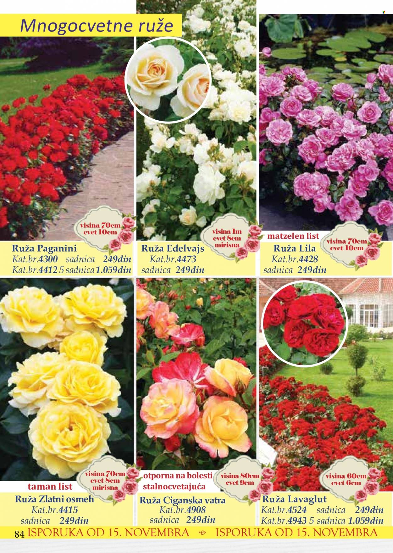 Flora Ekspres katalog. Stranica 84