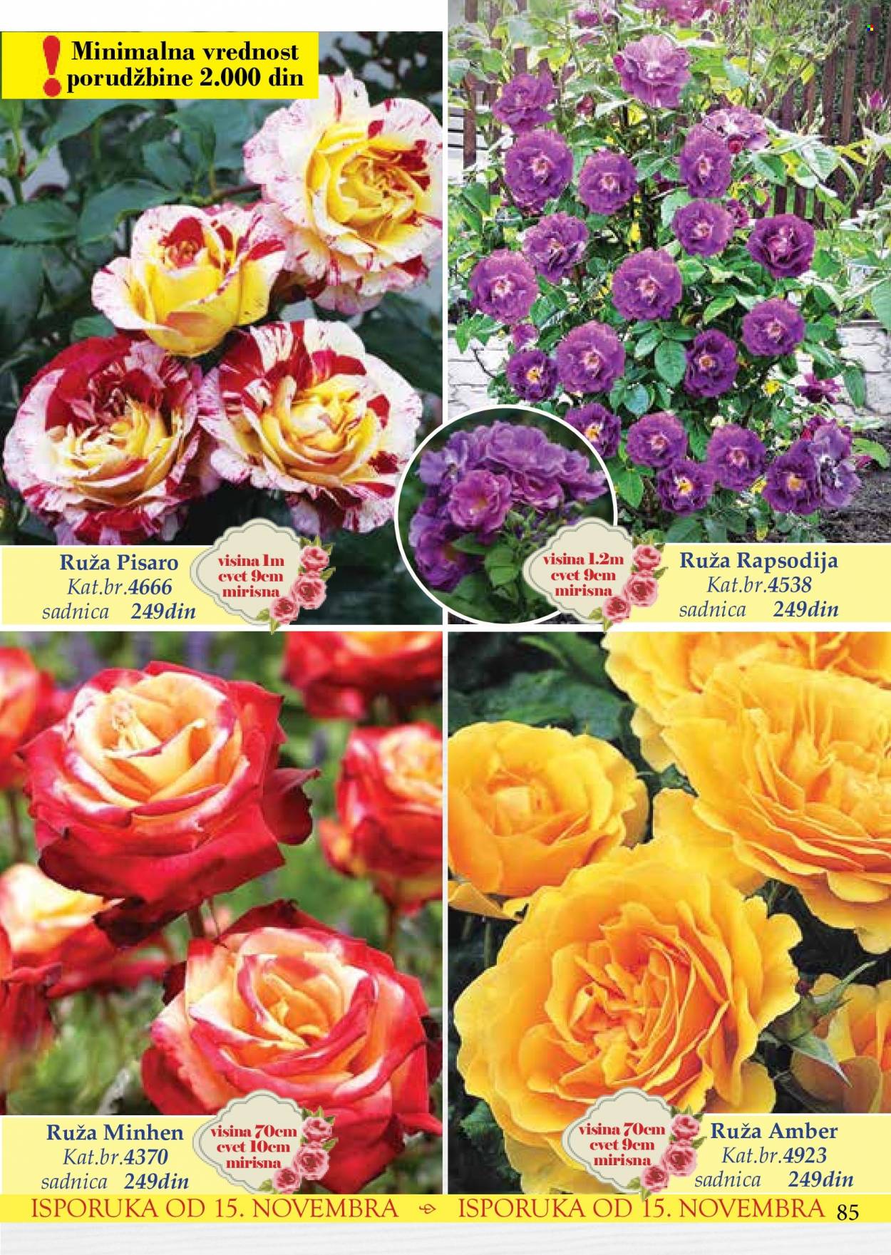 Flora Ekspres katalog. Stranica 85