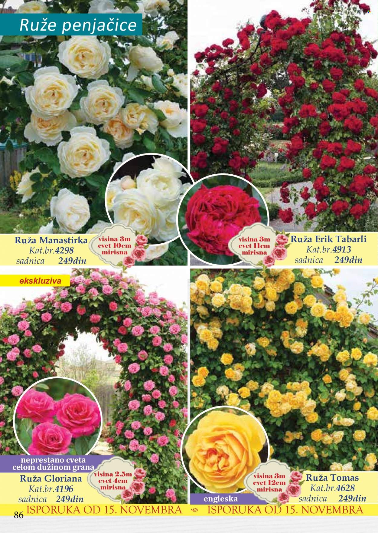Flora Ekspres katalog. Stranica 86