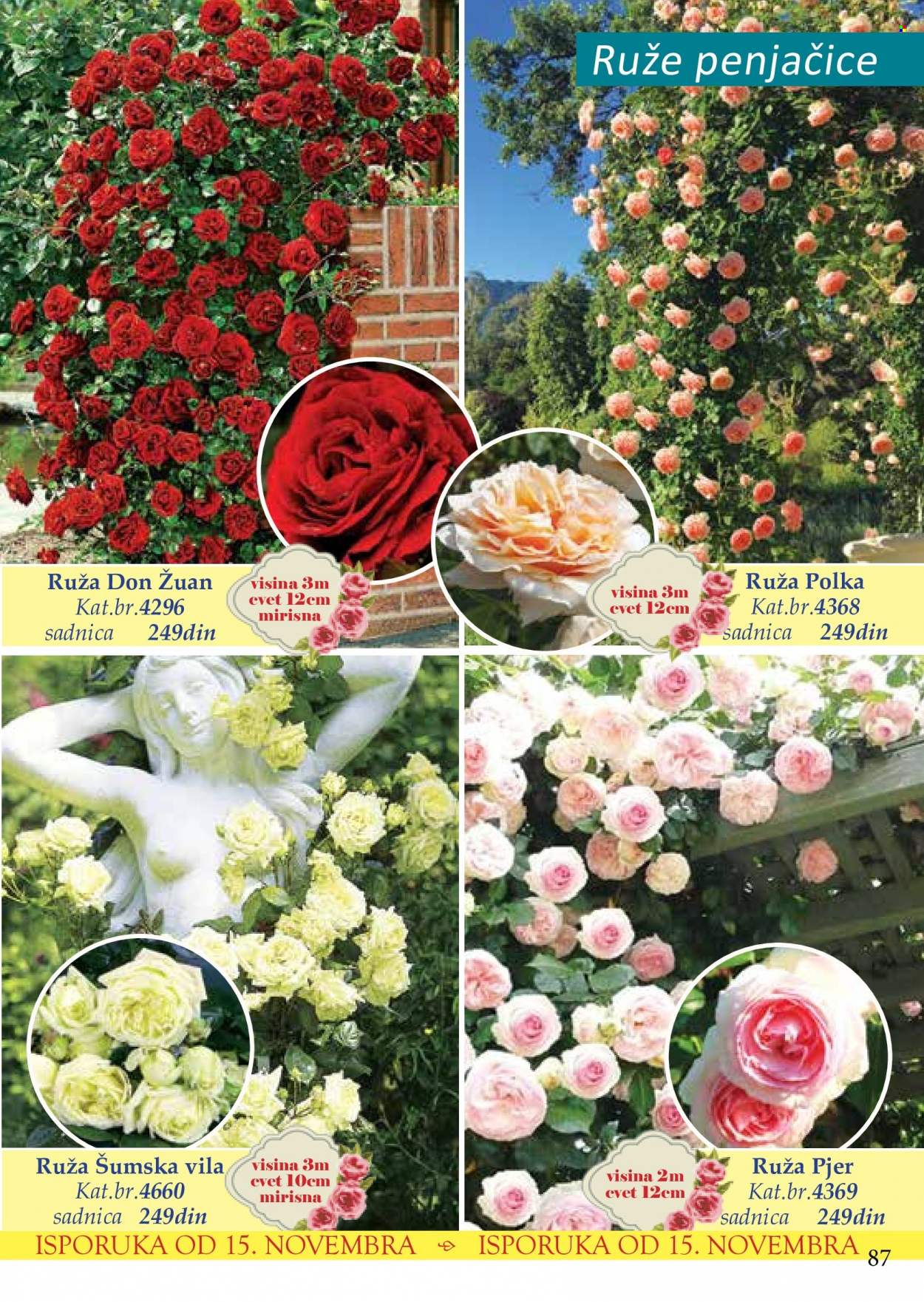 Flora Ekspres katalog. Stranica 87